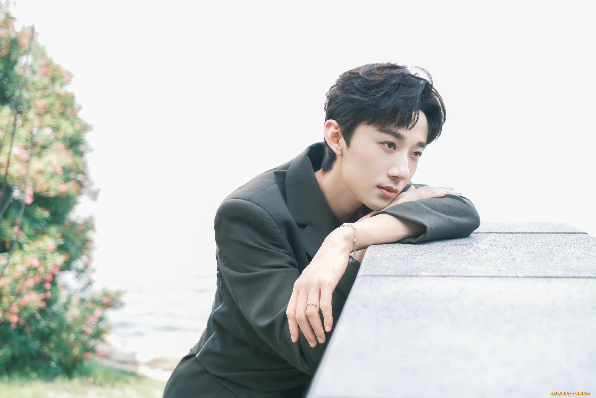 мужчины, li, bo, wen, li, bo, wen