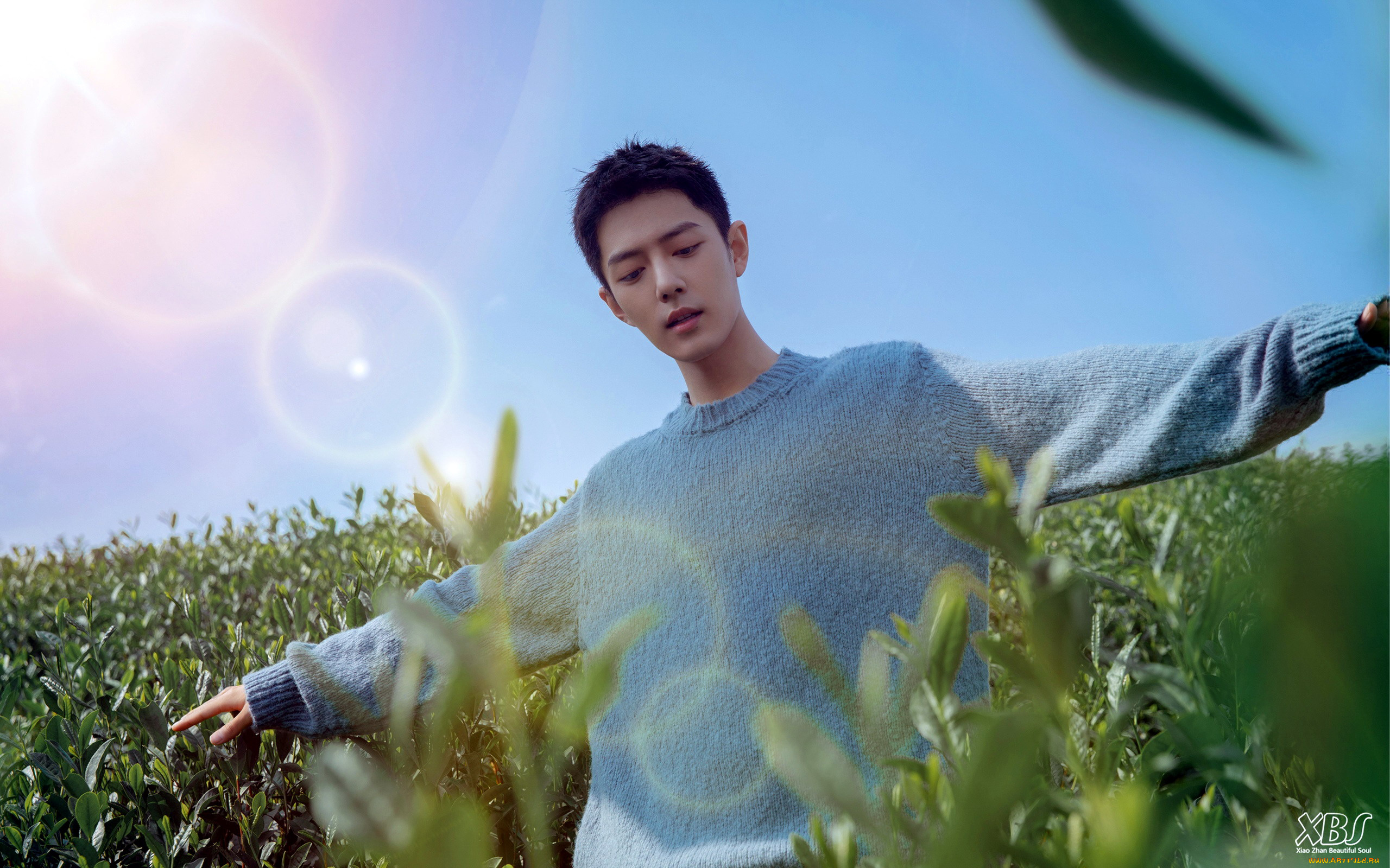 мужчины, xiao, zhan, актер, свитер, поле