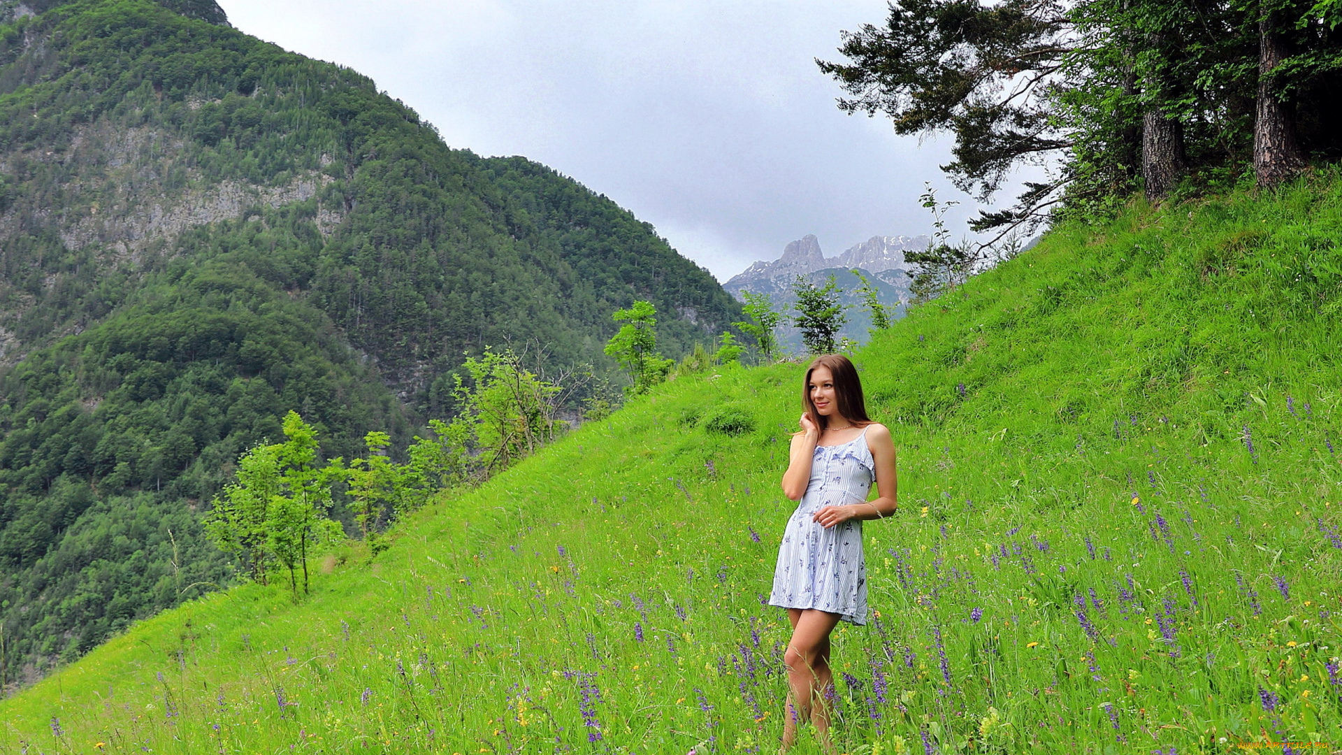 девушки, -, брюнетки, , шатенки, горы, лужайка, шатенка, платье