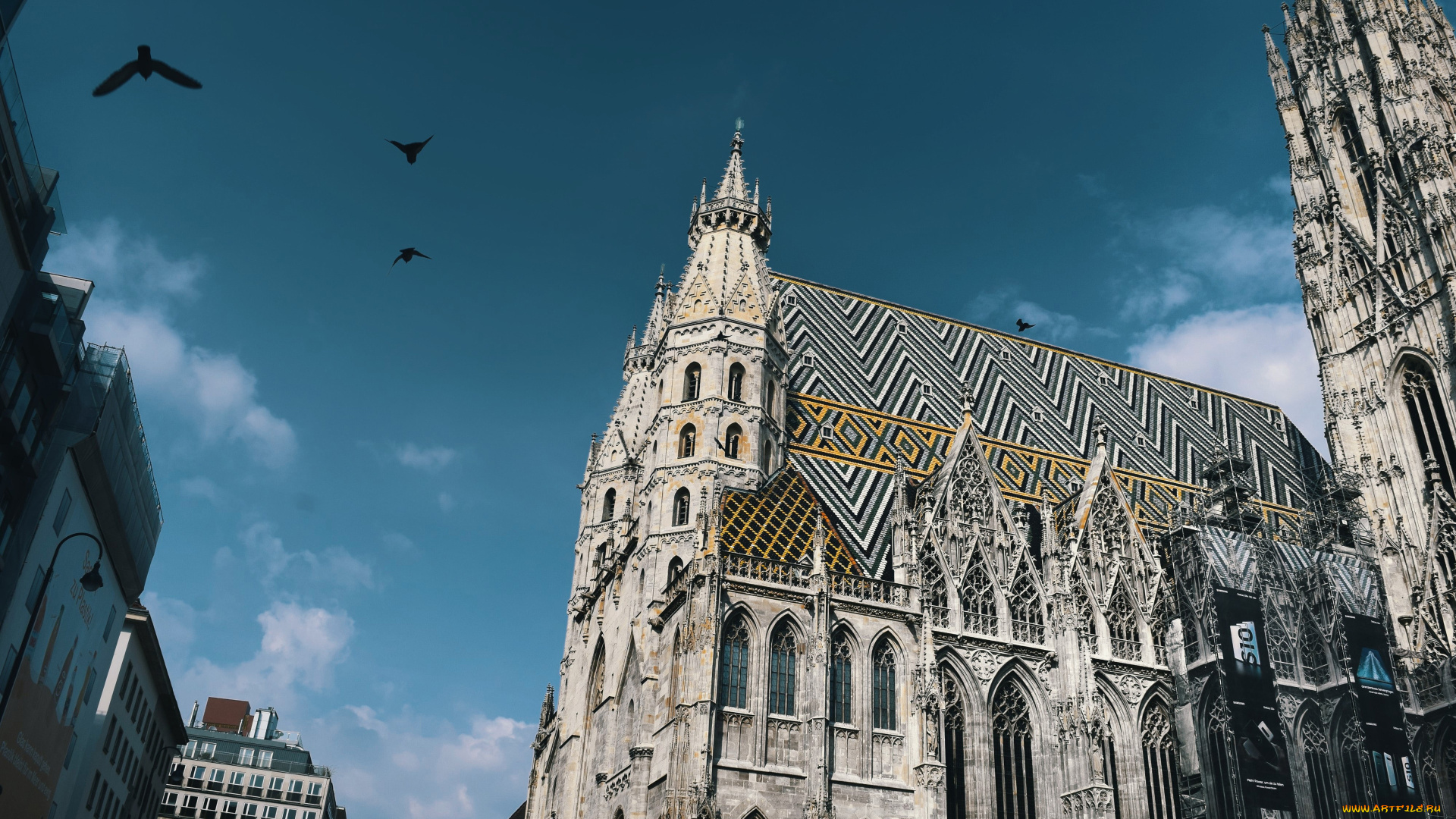 города, вена, , австрия, собор, святого, стефана, закат, городской, вид, достопримечательности, вена, европа