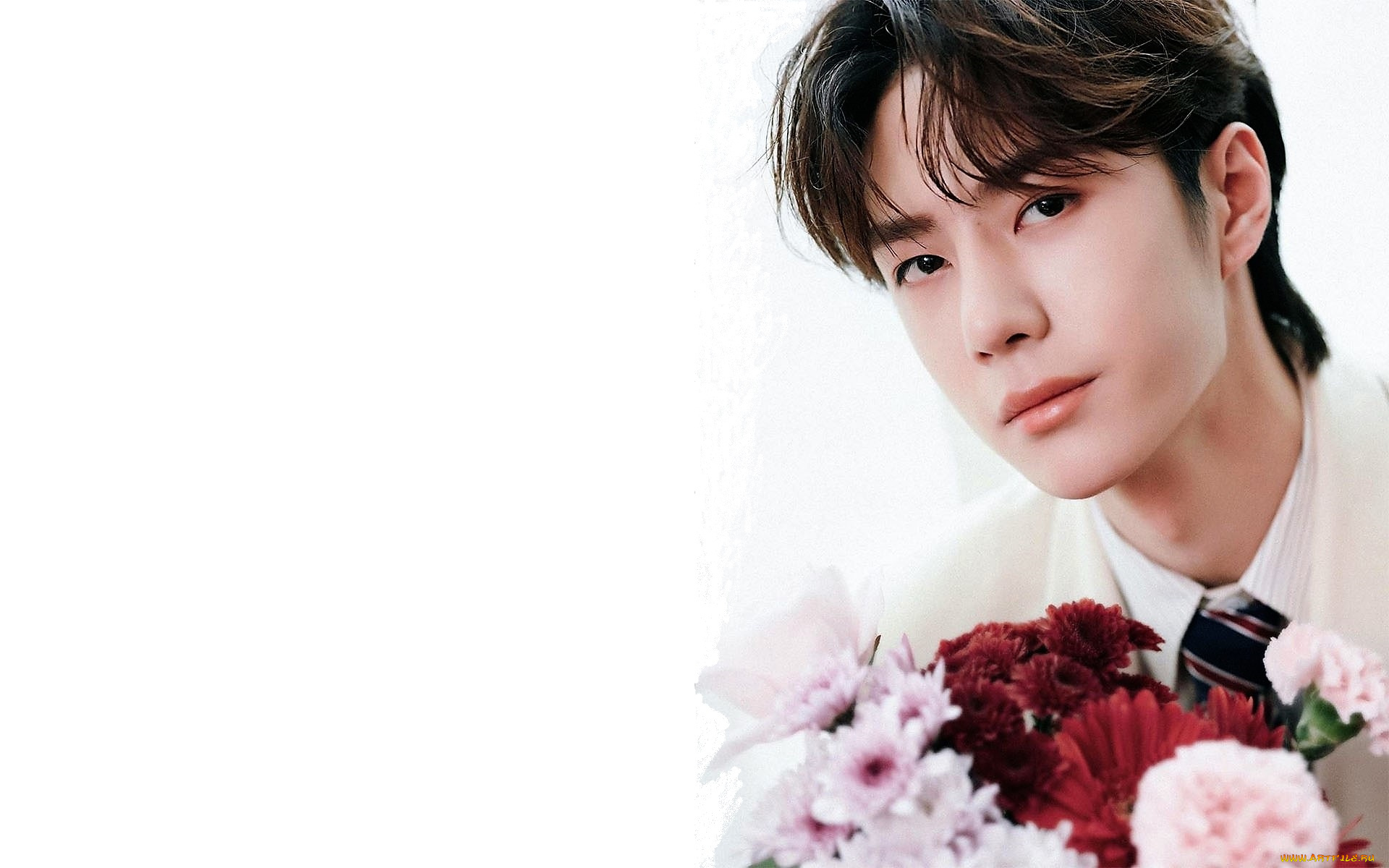 мужчины, wang, yi, bo, лицо, цветы