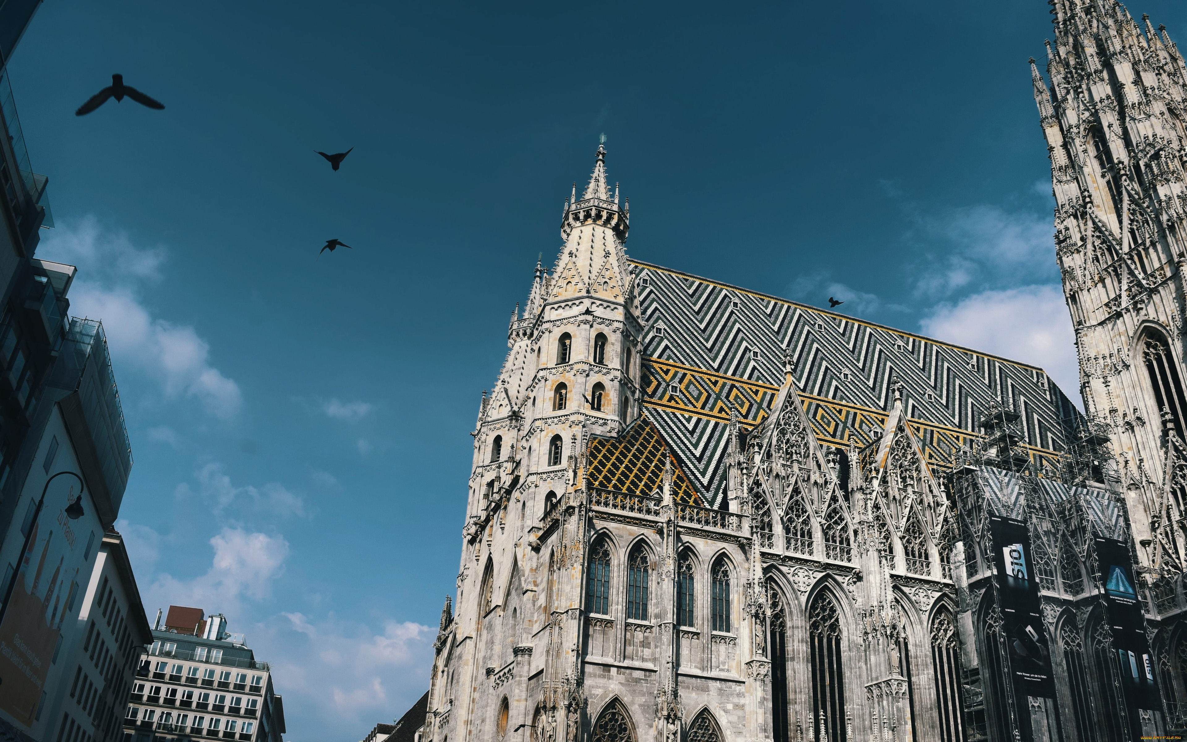 города, вена, , австрия, собор, святого, стефана, закат, городской, вид, достопримечательности, вена, европа