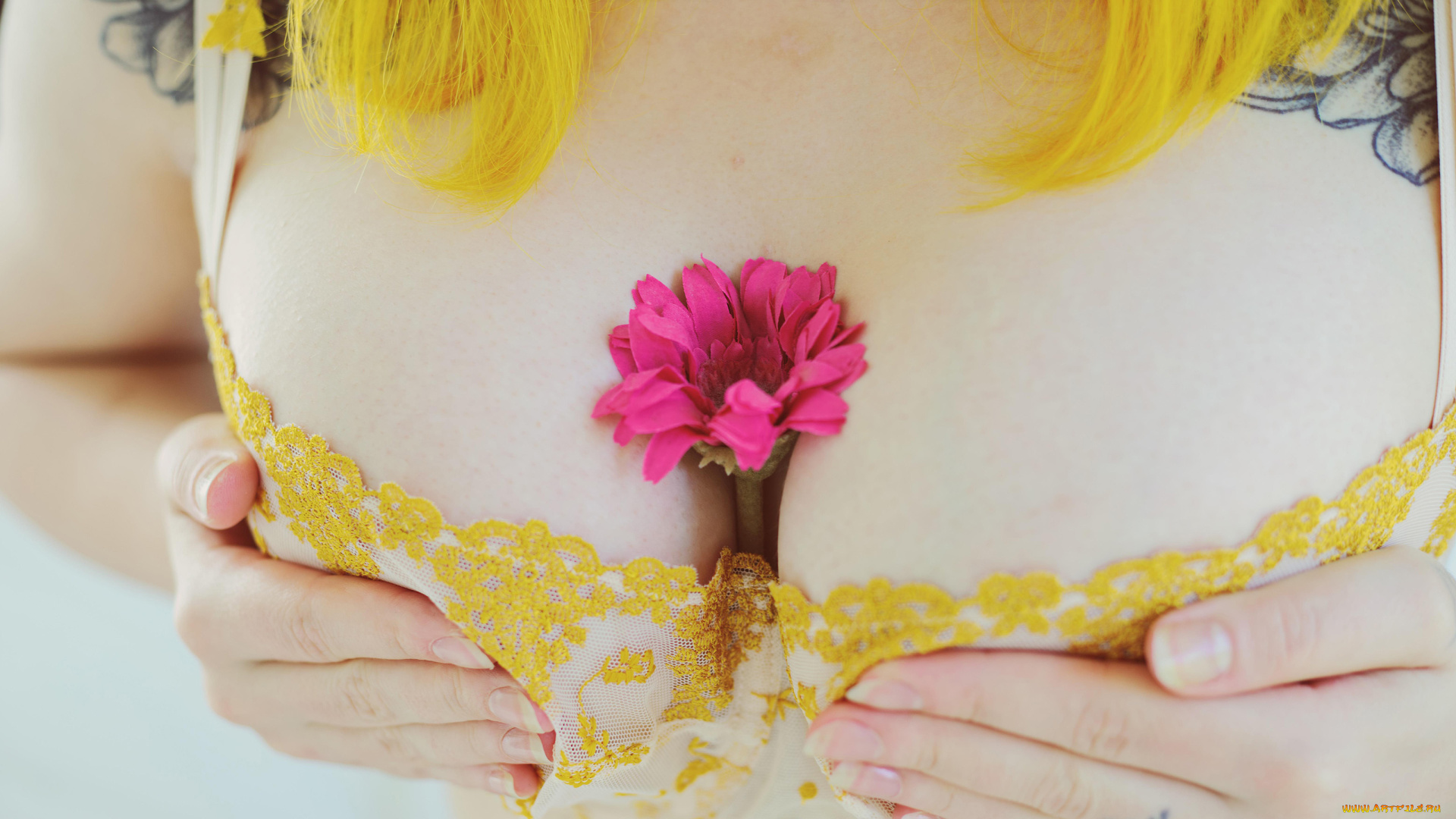 девушки, -, женские, прелести, eveowl