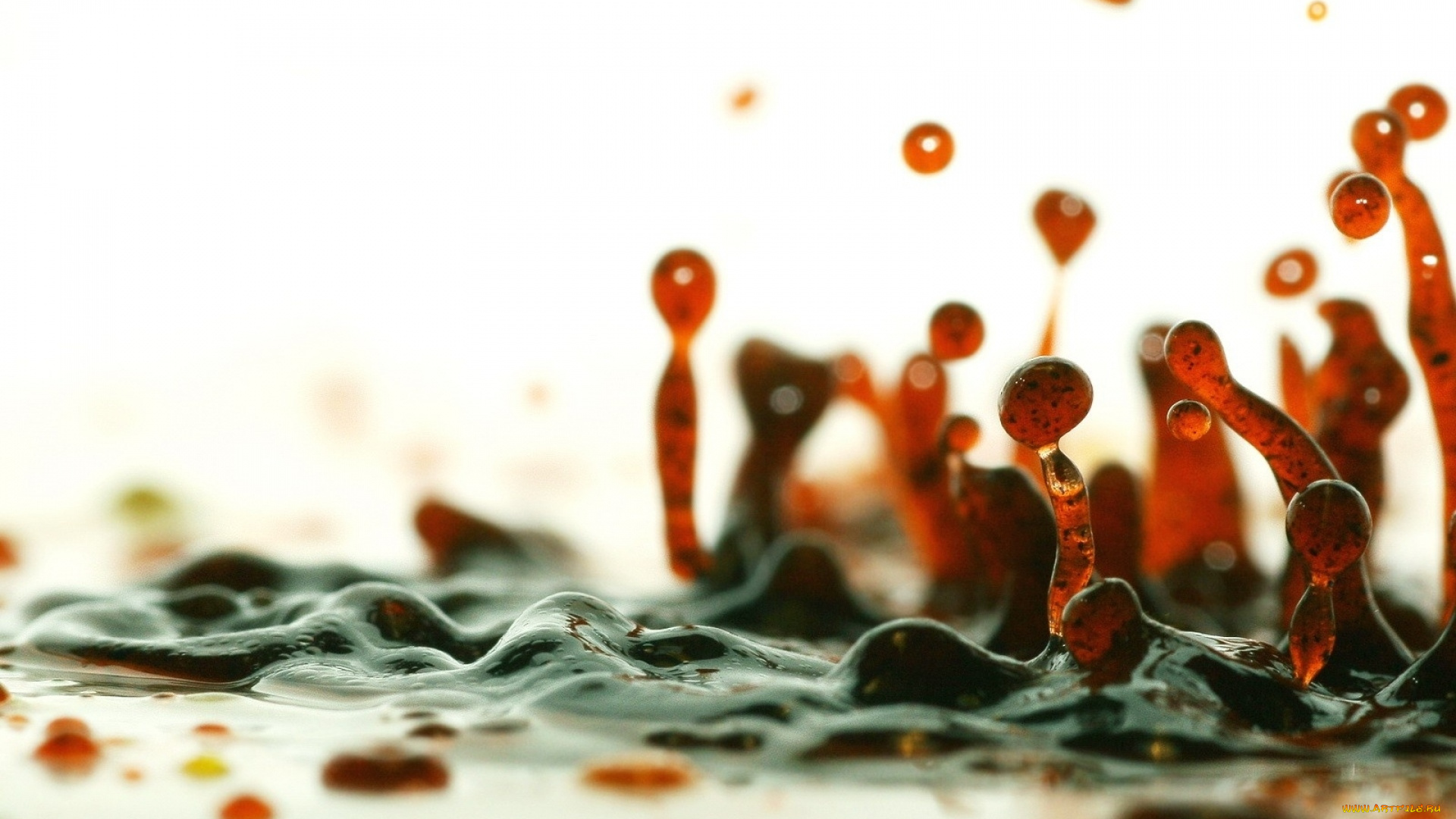 разное, капли, , брызги, , всплески, жидкость, всплески