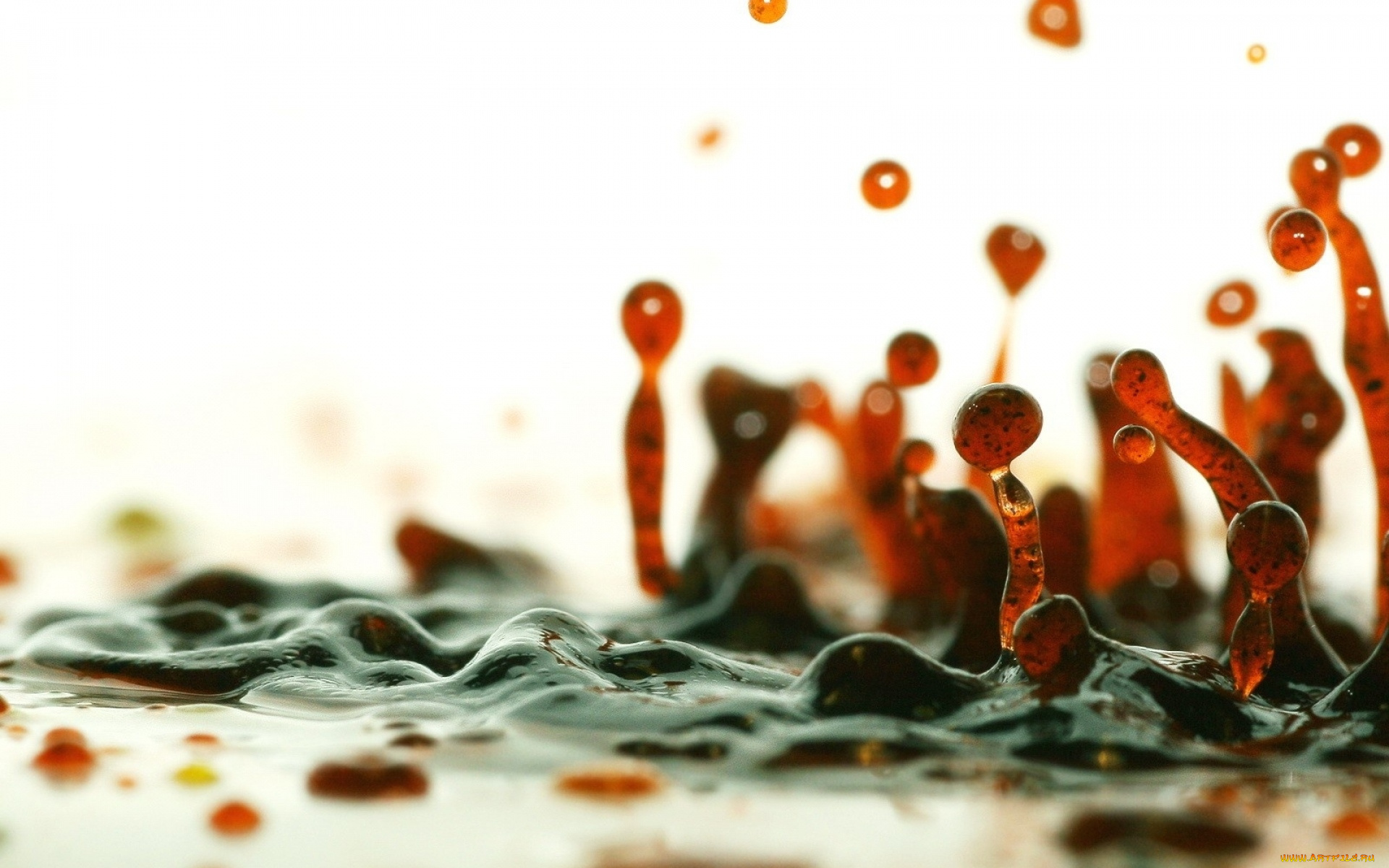 разное, капли, , брызги, , всплески, жидкость, всплески