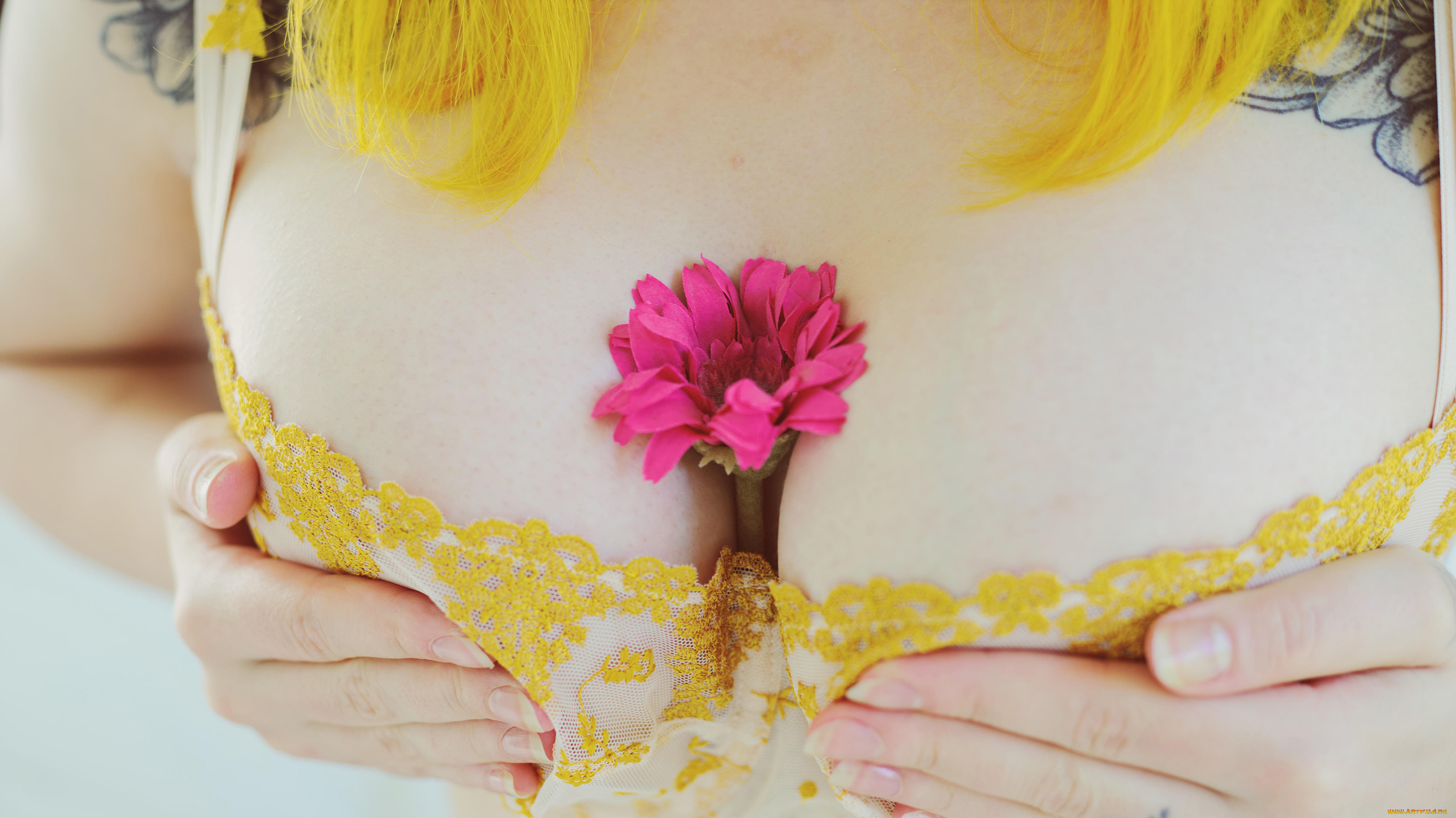 девушки, -, женские, прелести, eveowl