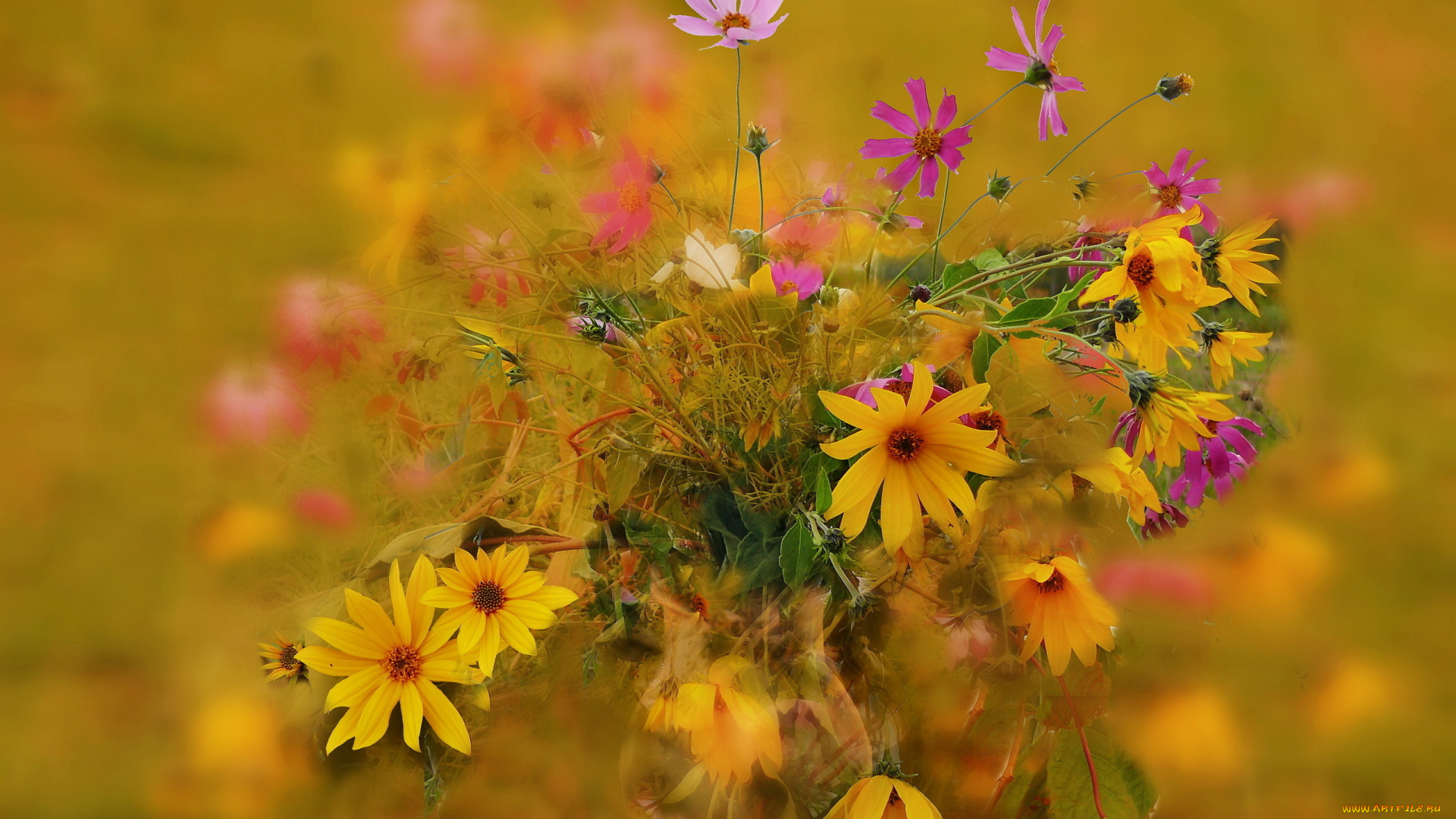 цветы, букеты, , композиции, букет