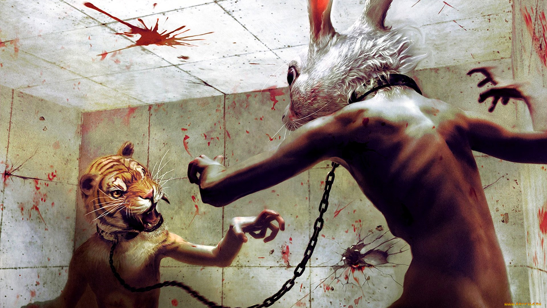 разное, компьютерный, дизайн, головы, тигр, заяц, цепь, поединок, кровь, стены
