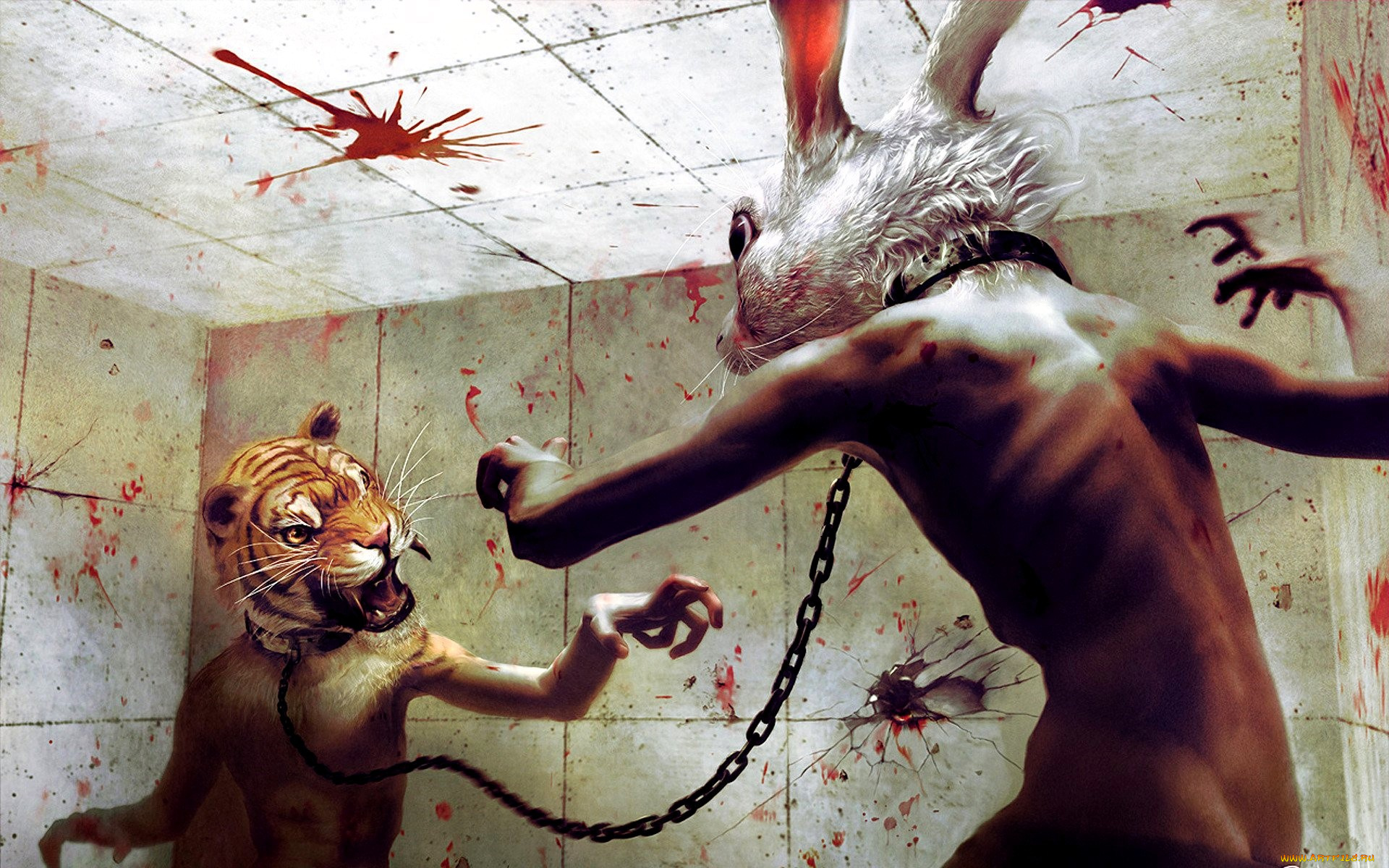 разное, компьютерный, дизайн, головы, тигр, заяц, цепь, поединок, кровь, стены