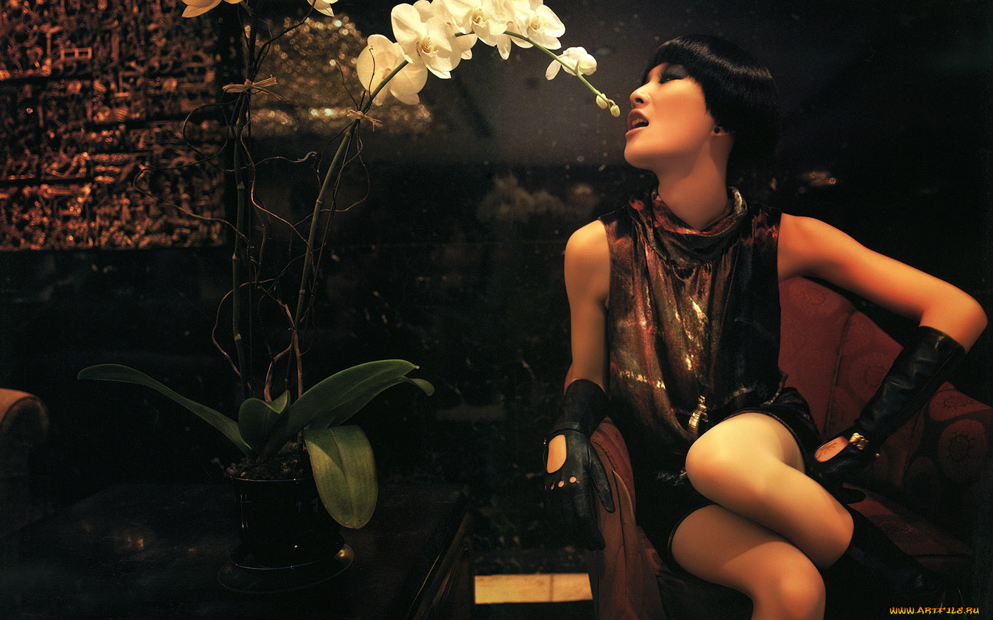 -Unsort, Азиатки, девушки, unsort, азиатки