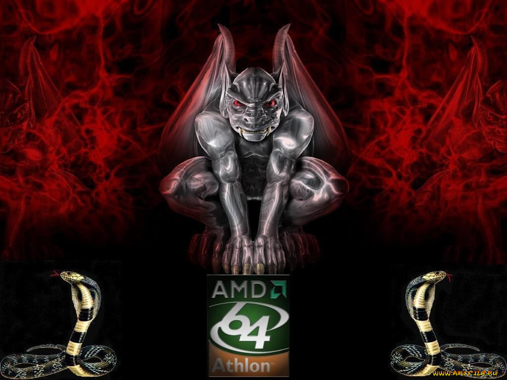 компьютеры, amd