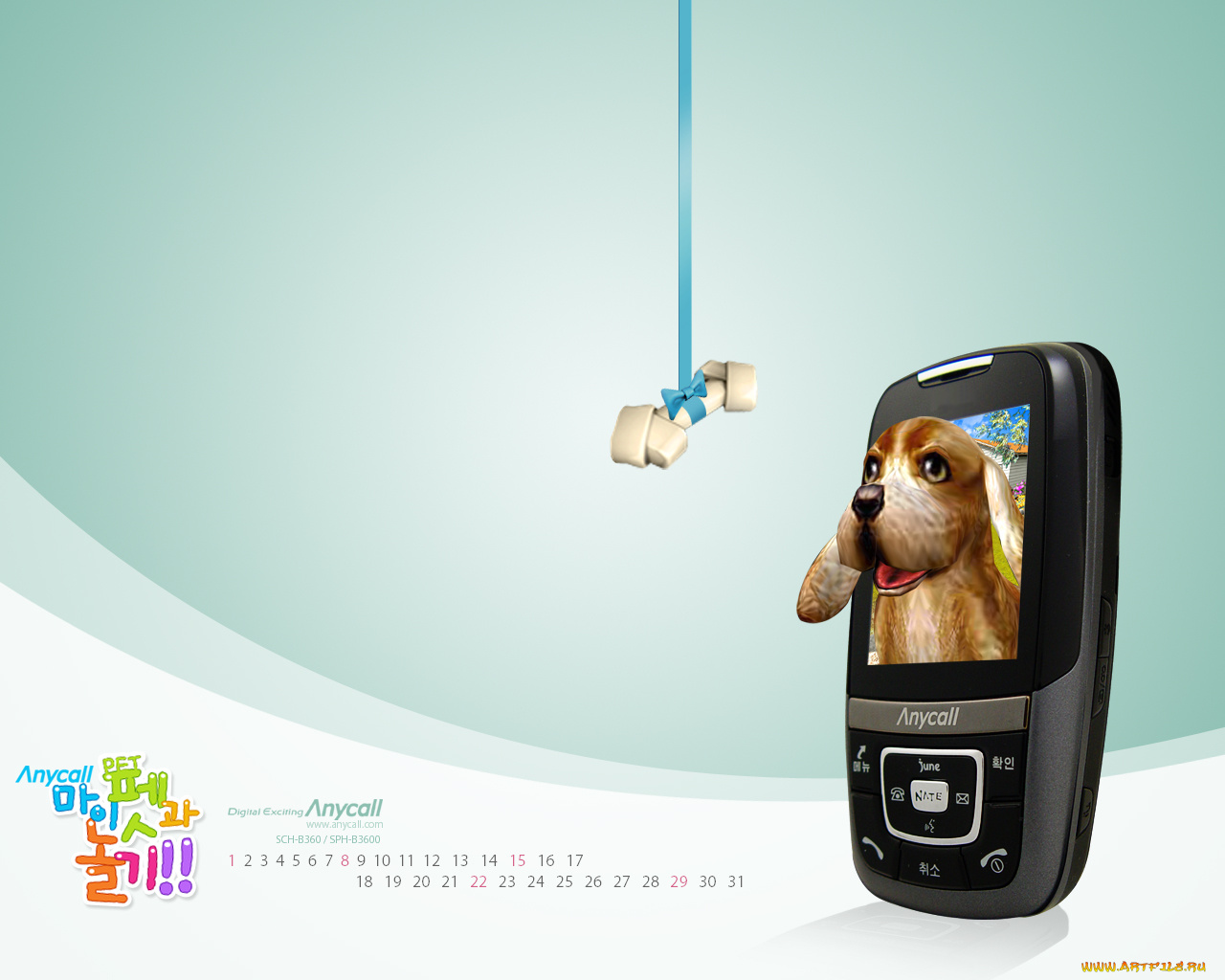 бренды, anycall