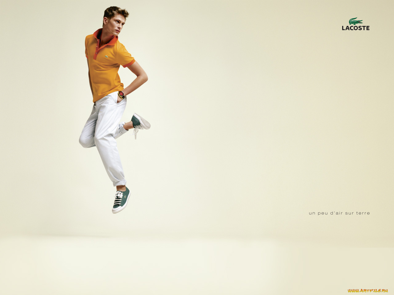 бренды, lacoste