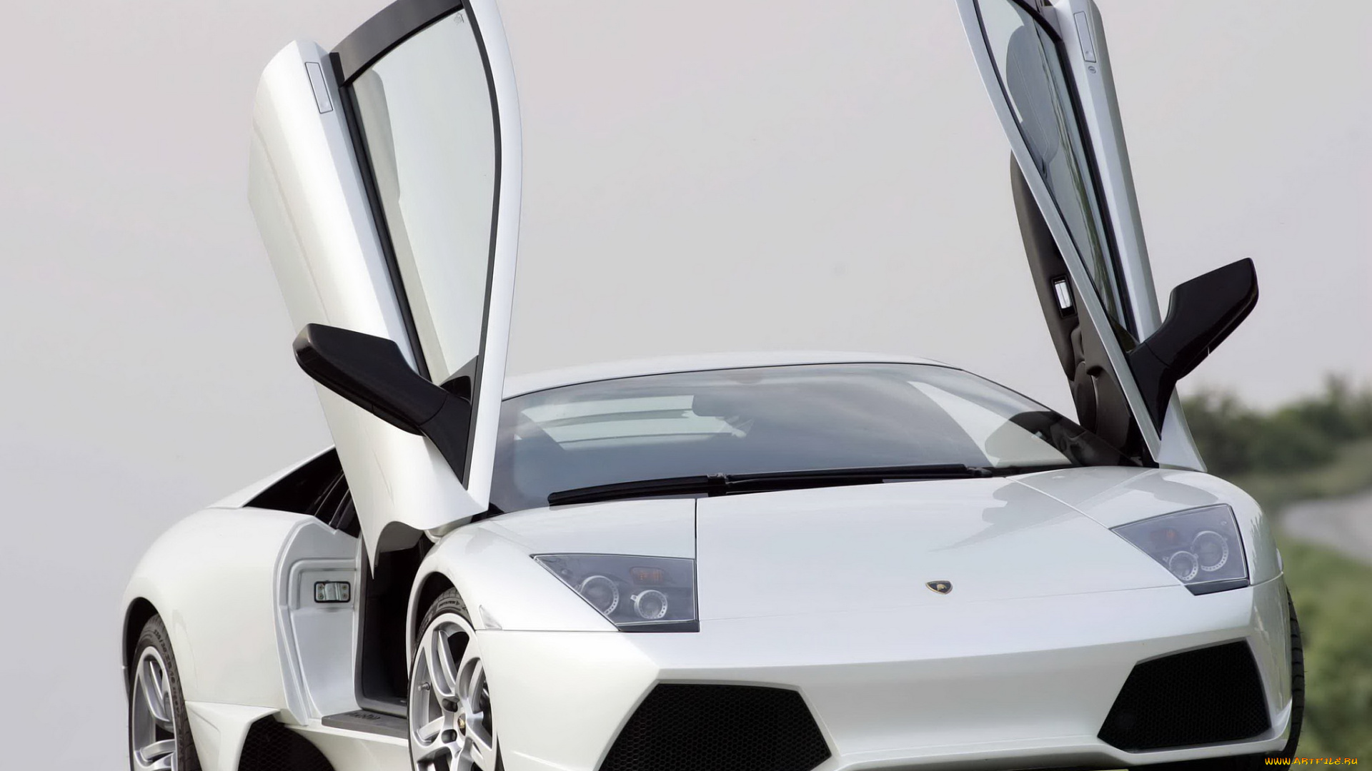 автомобили, lamborghini