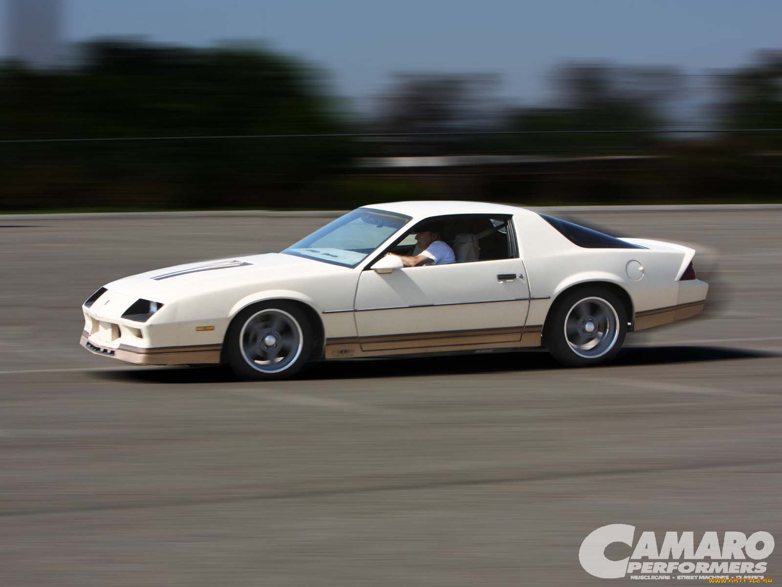 автомобили, camaro
