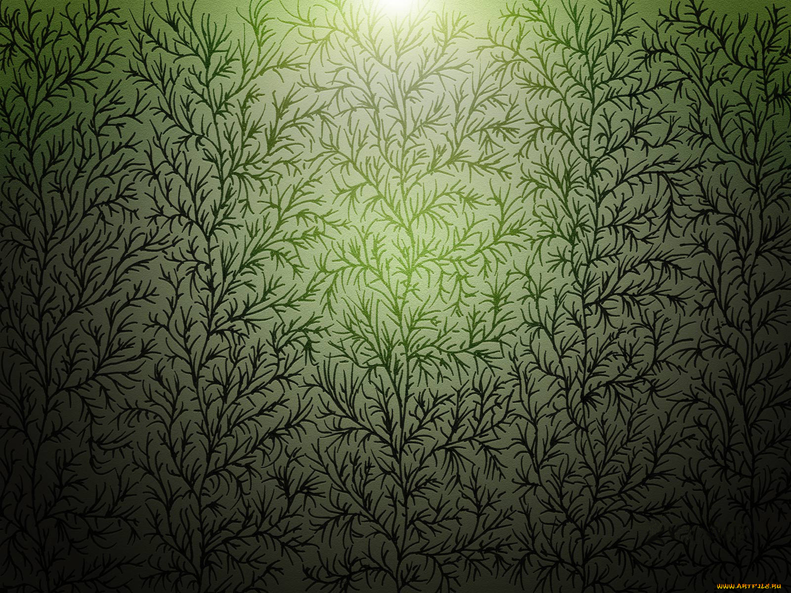 3д, графика, textures, текстуры, текстура