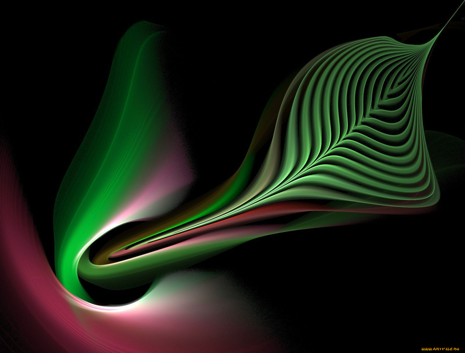 3д, графика, fractal, фракталы, абстракции