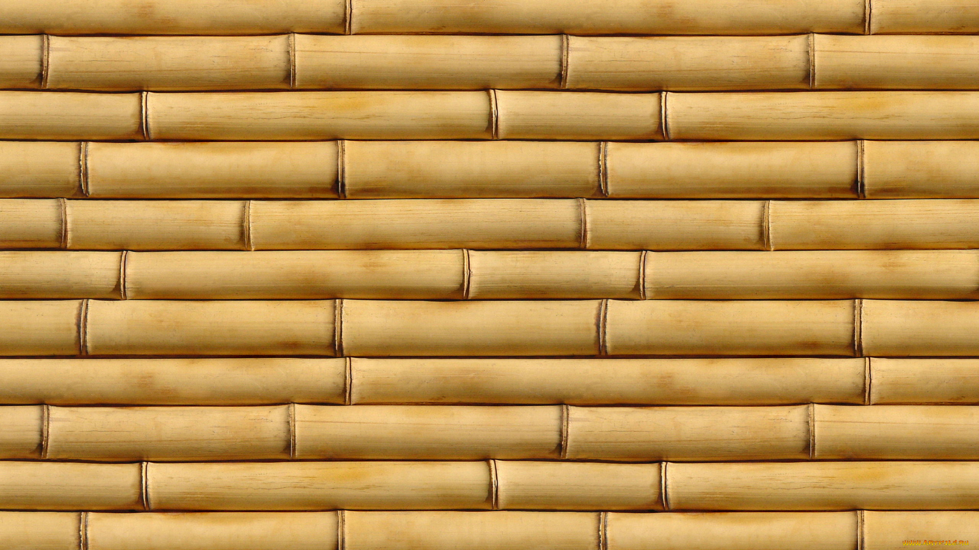 3д, графика, textures, текстуры, текстура, бамбук