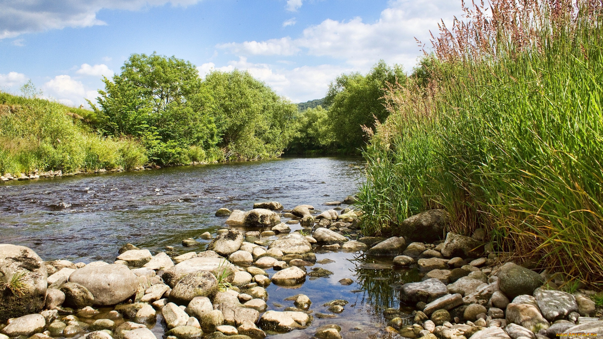 природа, реки, озера, камни, вода, деревья, течение