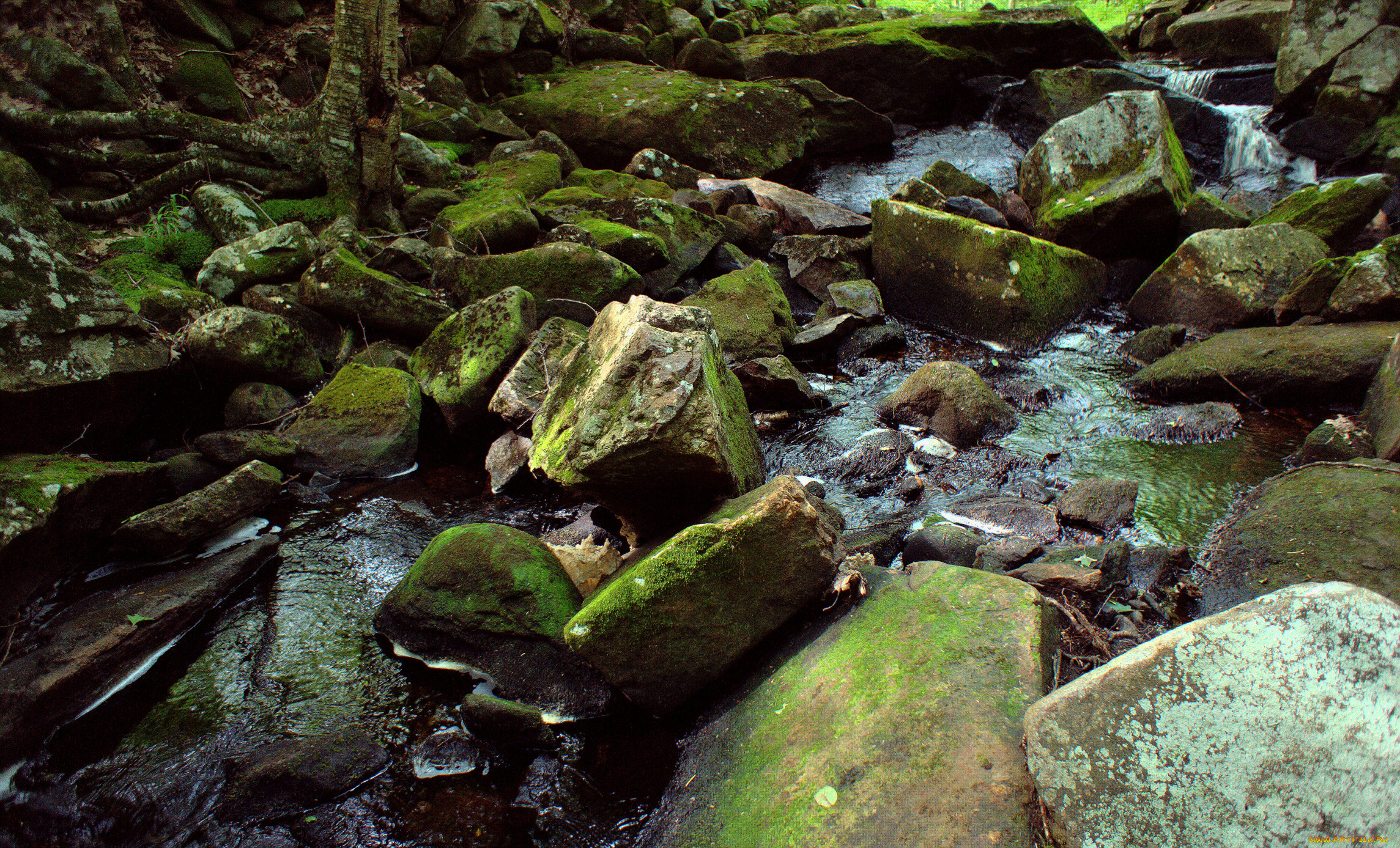 природа, реки, озера, река, камни