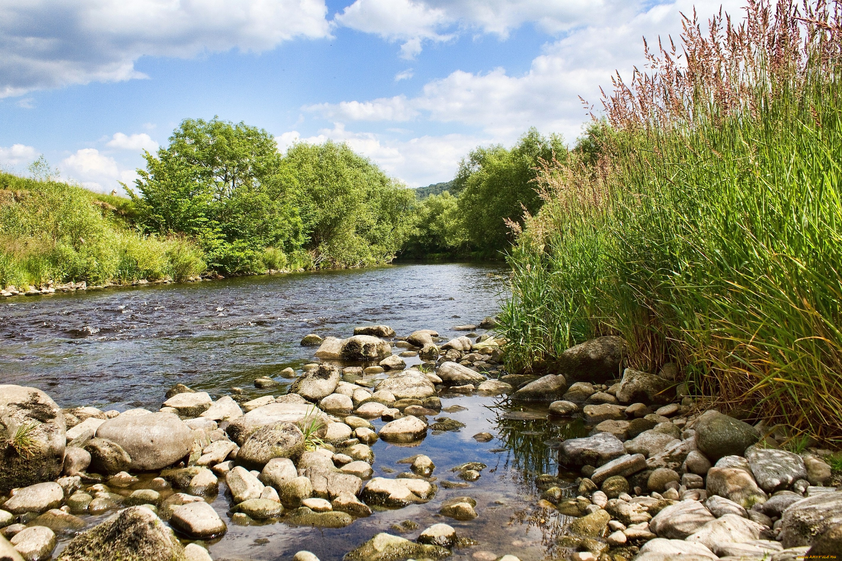 природа, реки, озера, камни, вода, деревья, течение