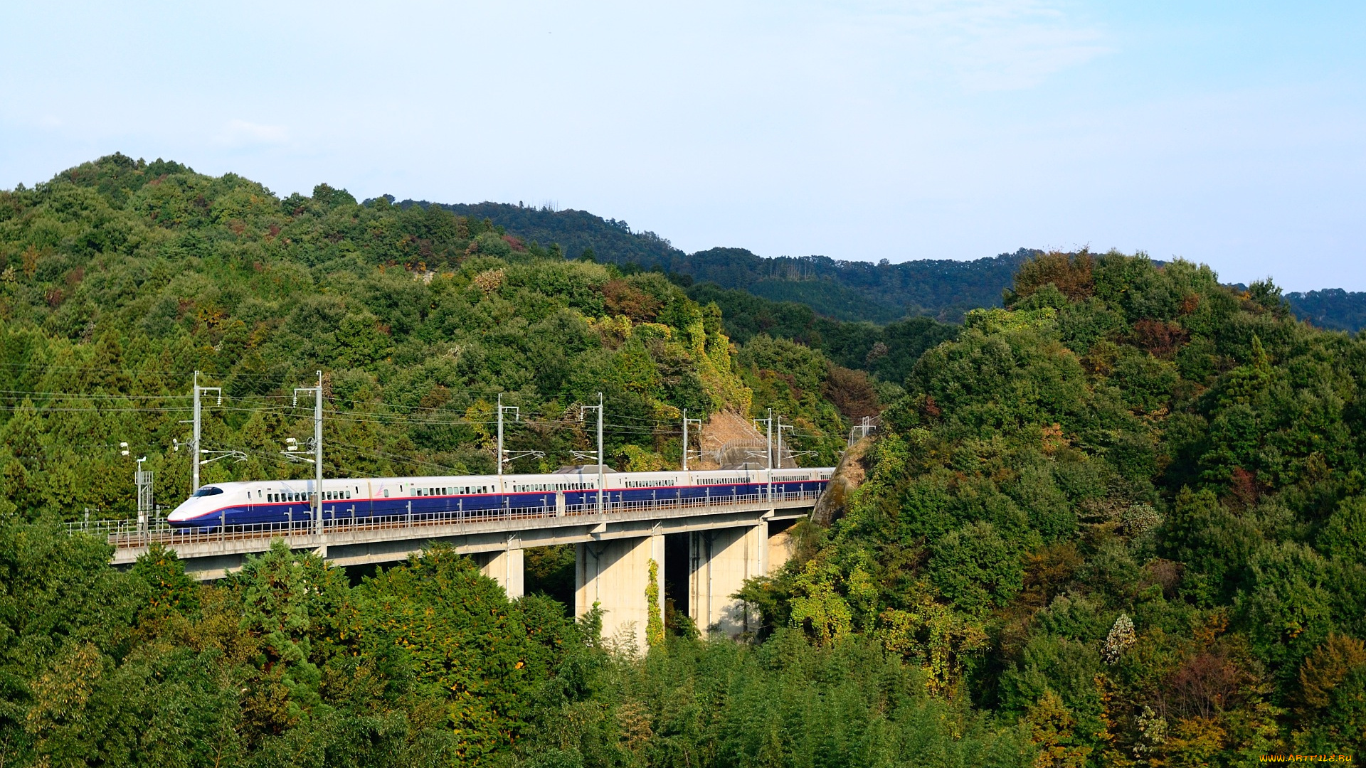 города, мосты, мост