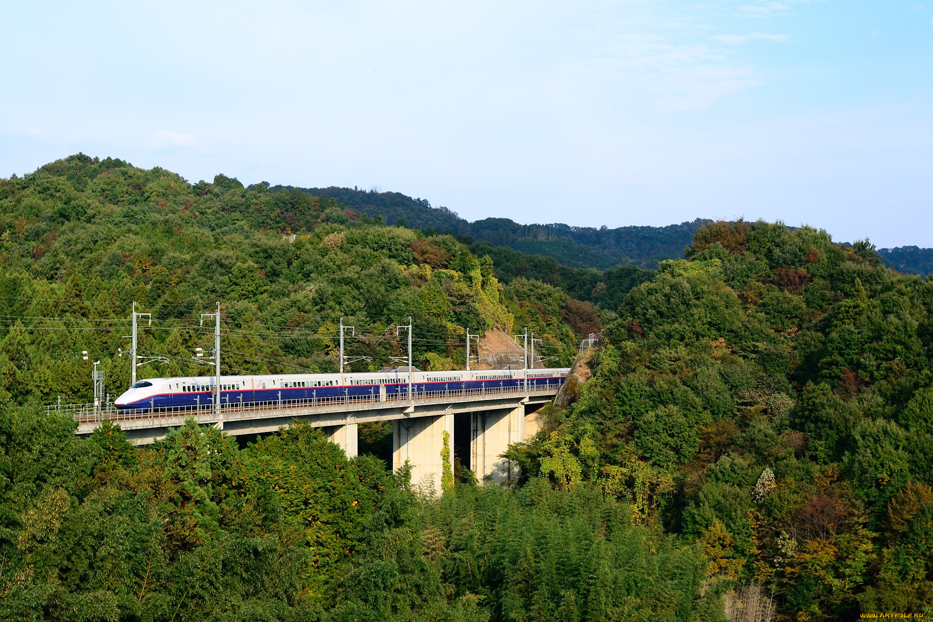 города, мосты, мост