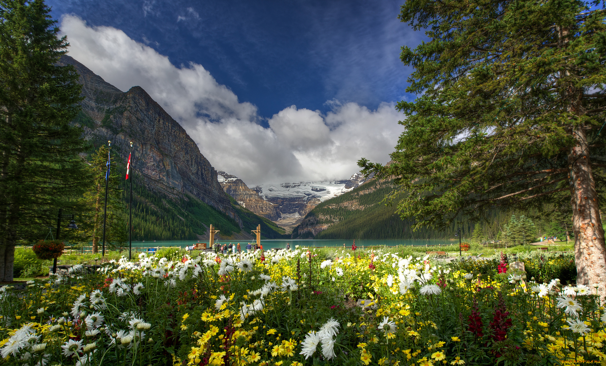 banff, national, park, canada, природа, пейзажи, горы, озеро, цветы, деревья, lake, louise, канада