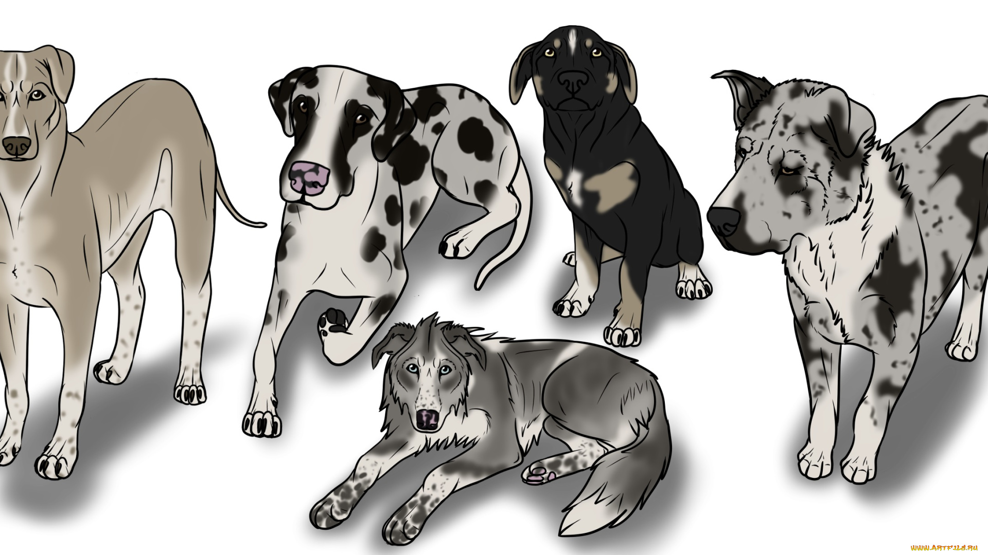 рисованные, животные, собаки
