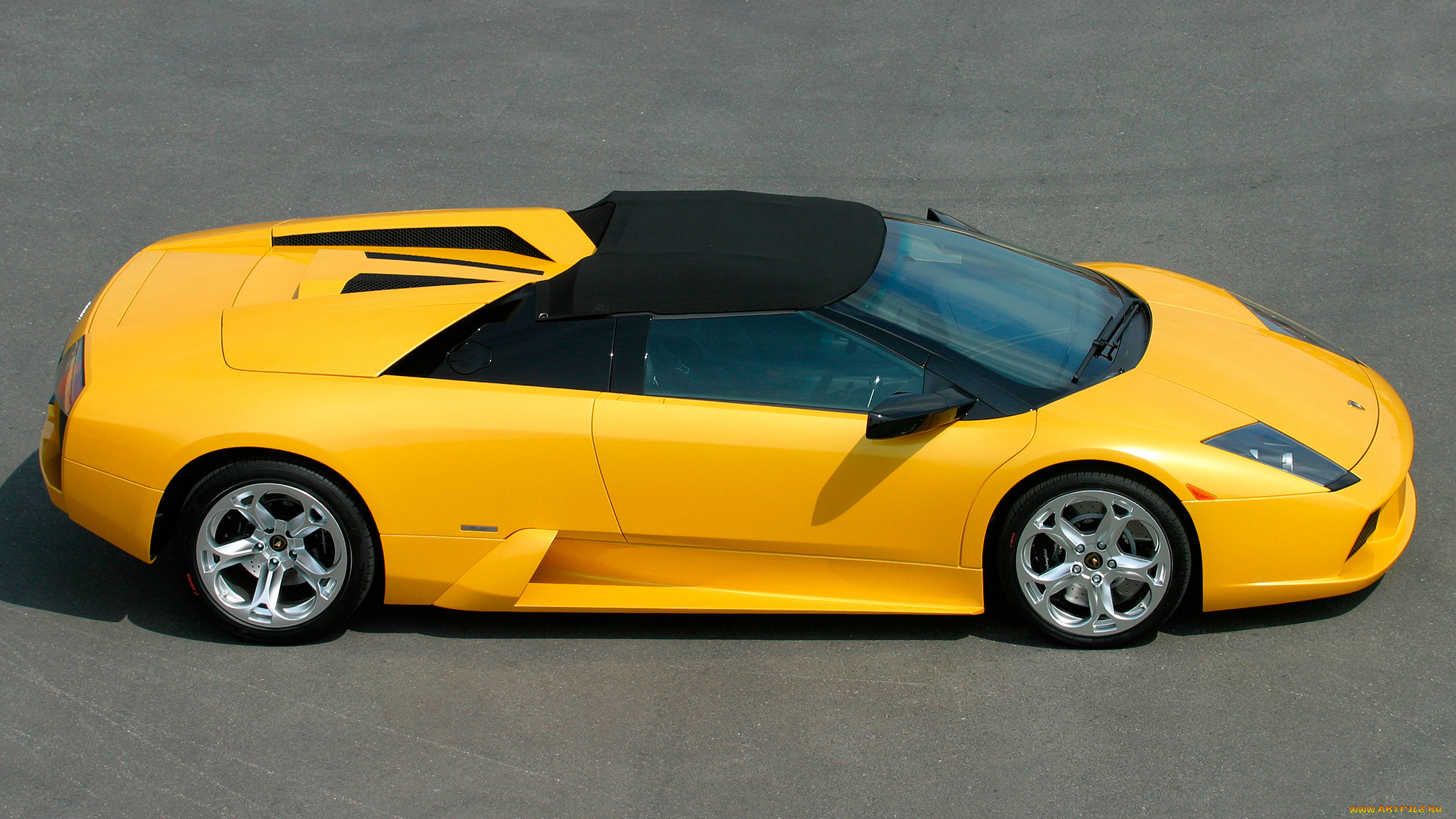 lamborghini, murcielago, автомобили, класс-люкс, италия, automobili, holding, s, p, a, спортивные