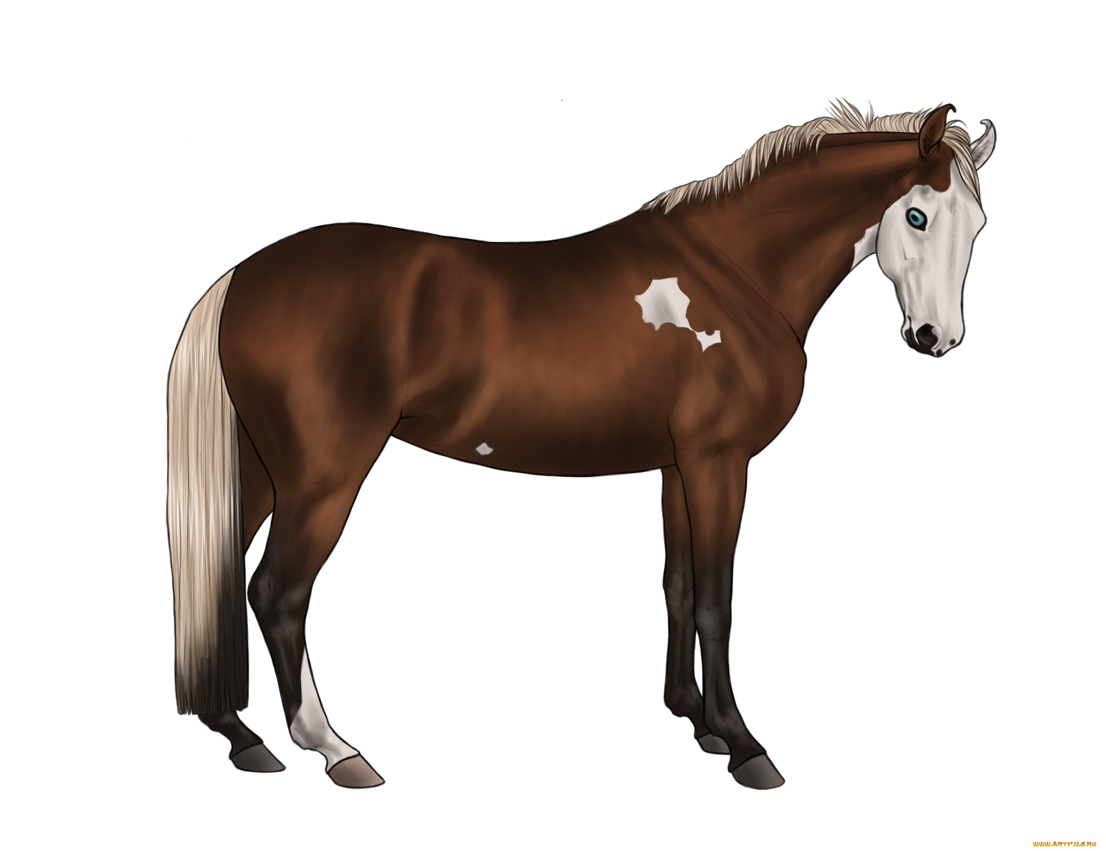 рисованные, животные, лошади, лошадь