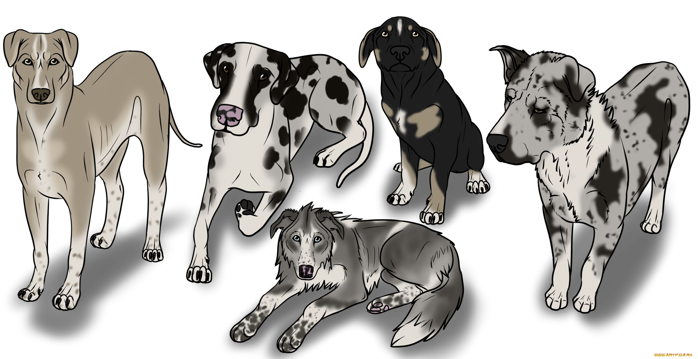 рисованные, животные, собаки