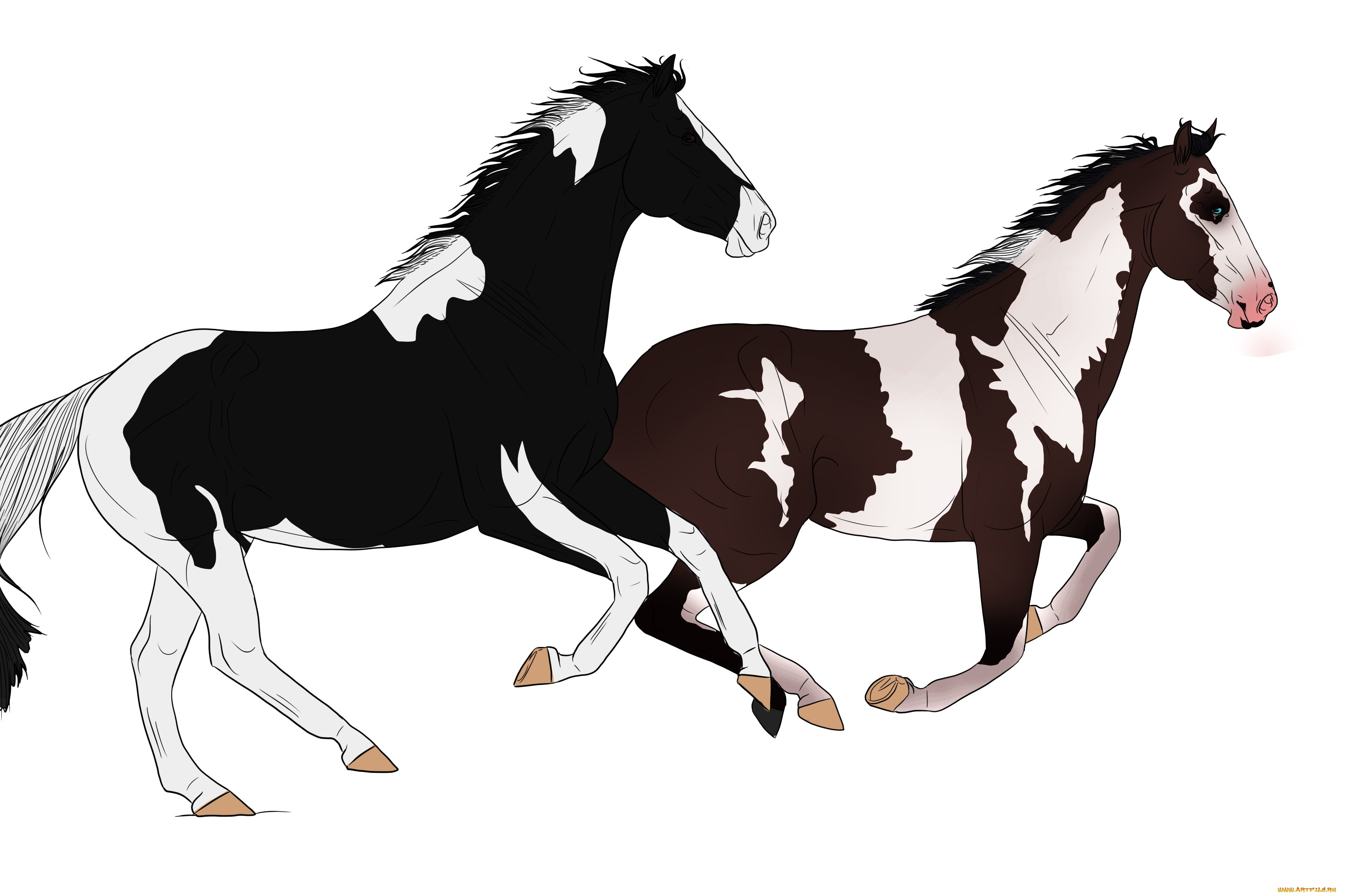 рисованные, животные, лошади