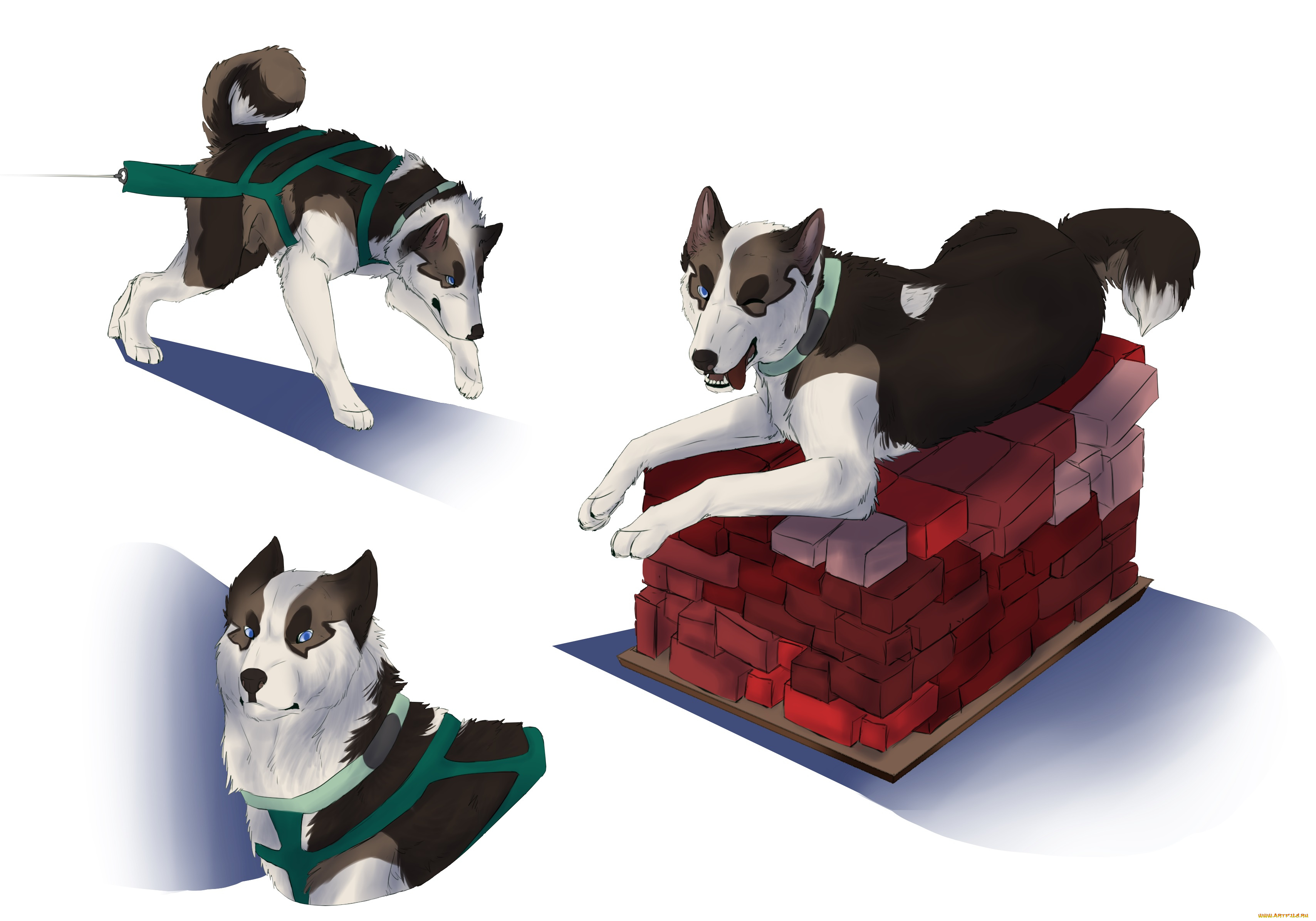 рисованные, животные, собаки