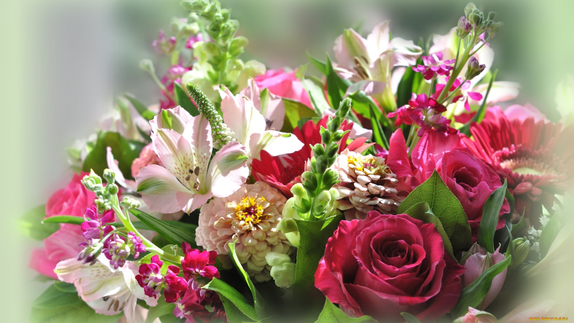 цветы, букеты, , композиции, альстромерия, роза, цинния, левкой