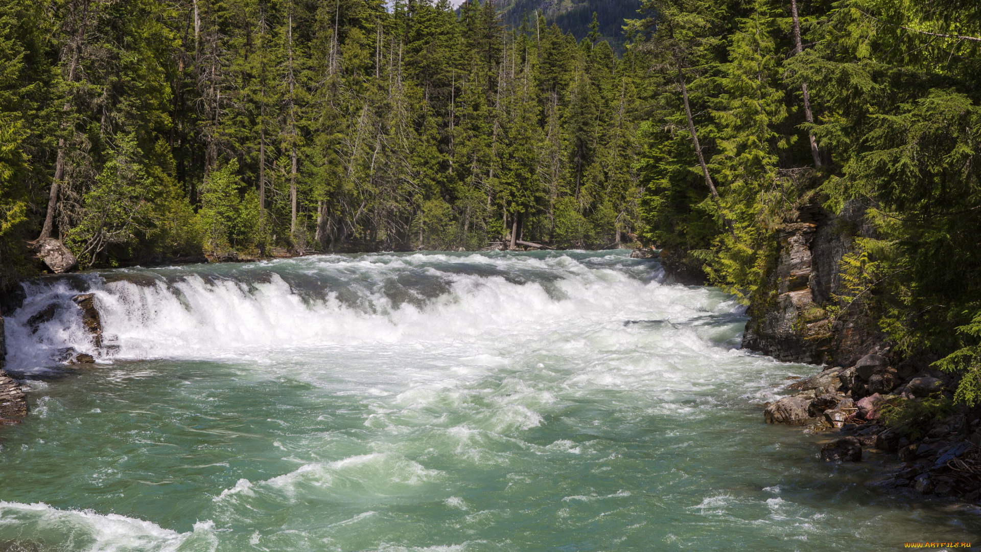 glacier, national, park, , montana, природа, водопады, водопад, река, лес, сша, montana, national, park, glacier