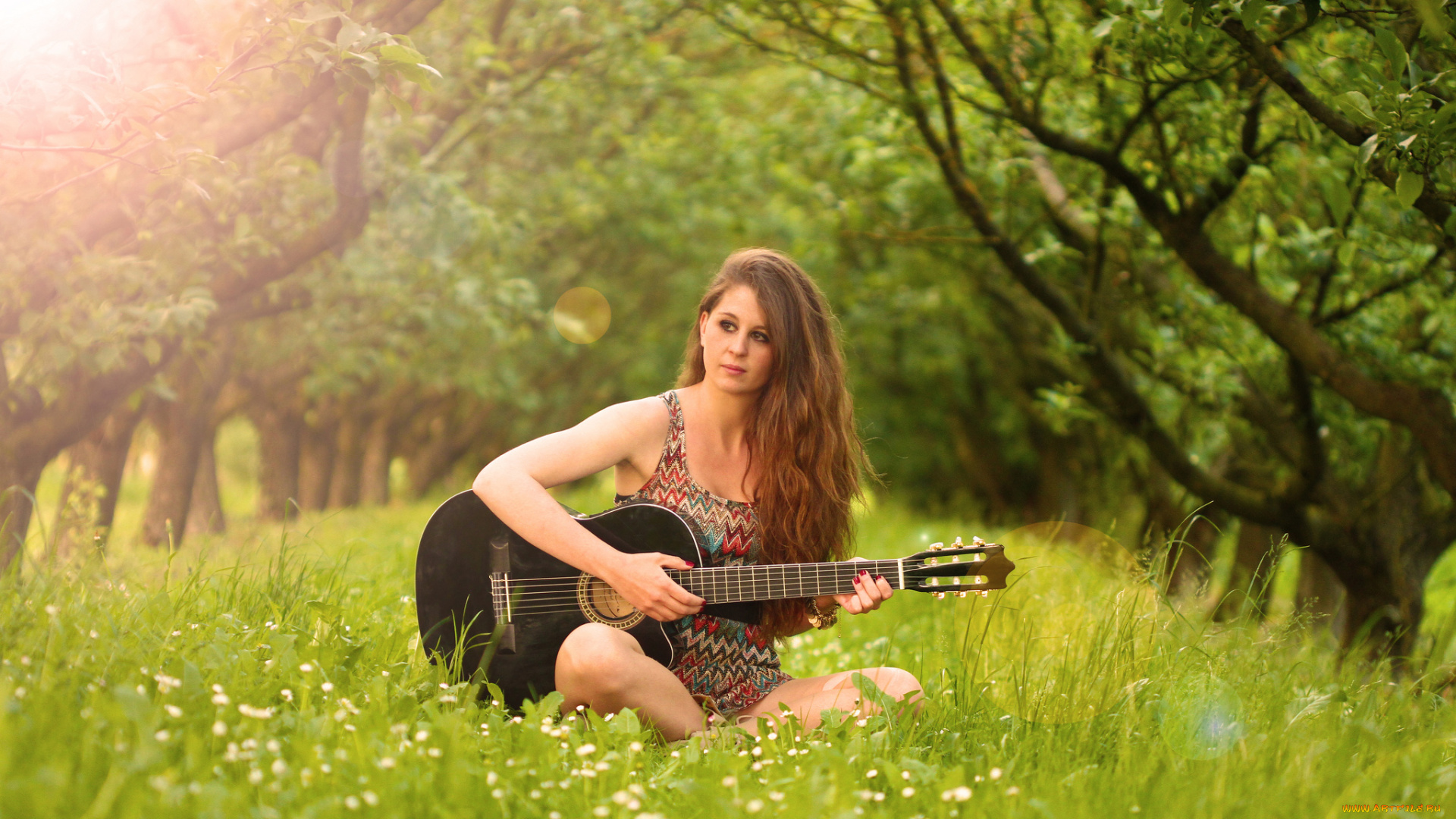 музыка, -, другое, гитара, fanny