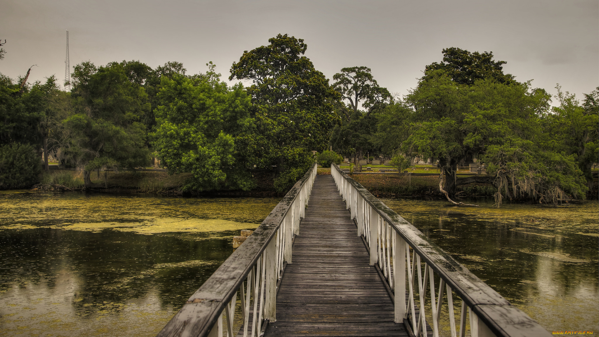 природа, дороги, деревья, мост, река