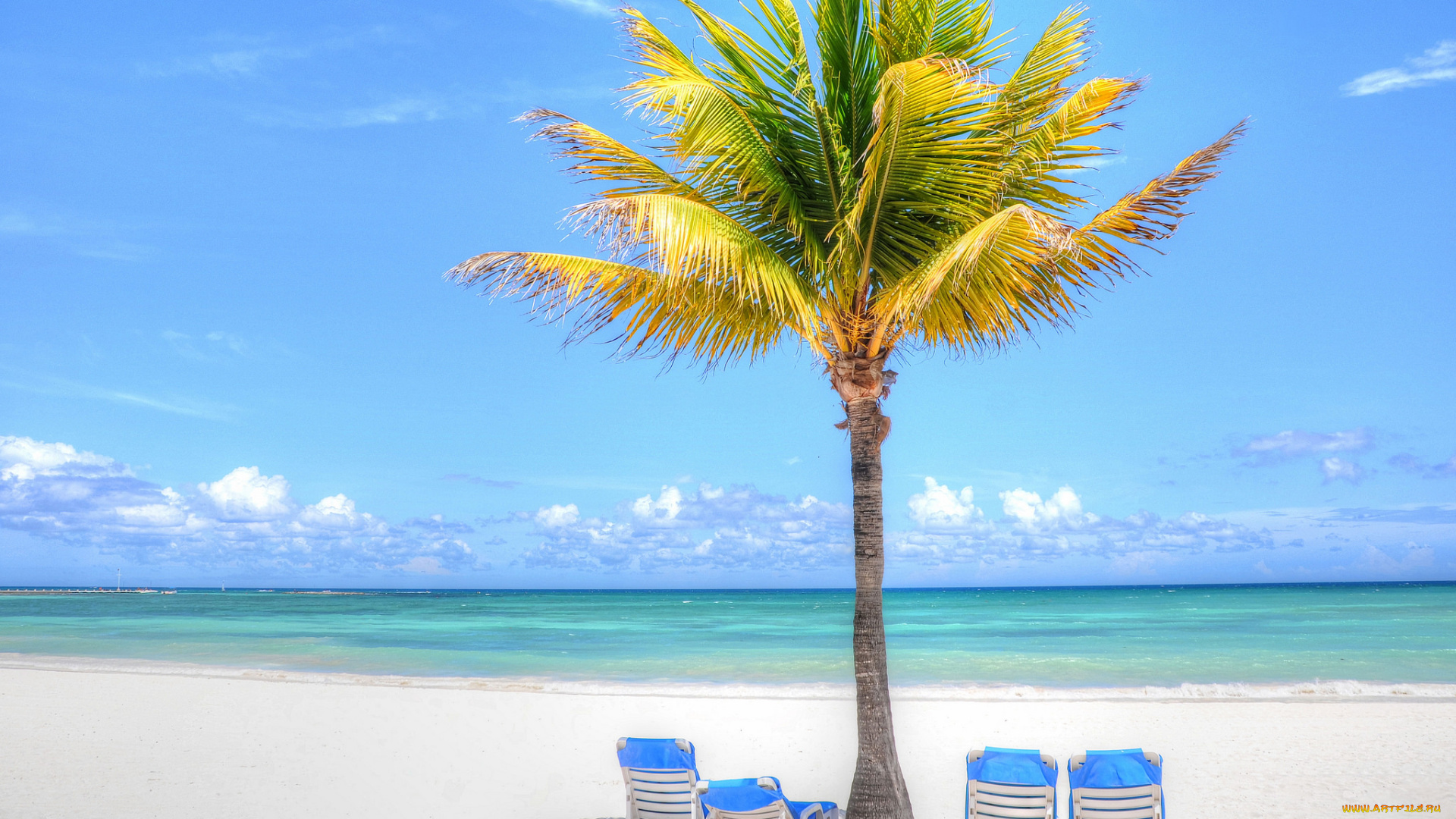 природа, тропики, отдых, море, пальма