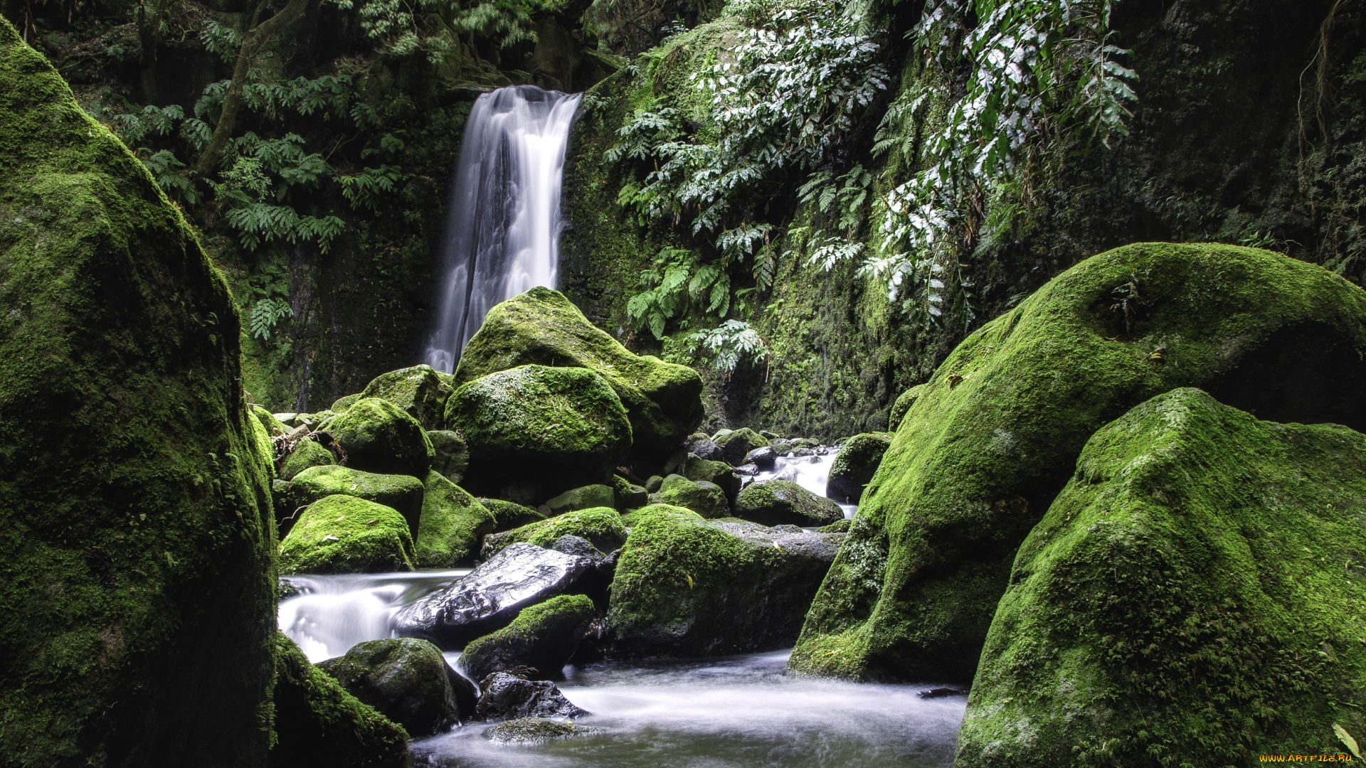 природа, водопады, вода, мох