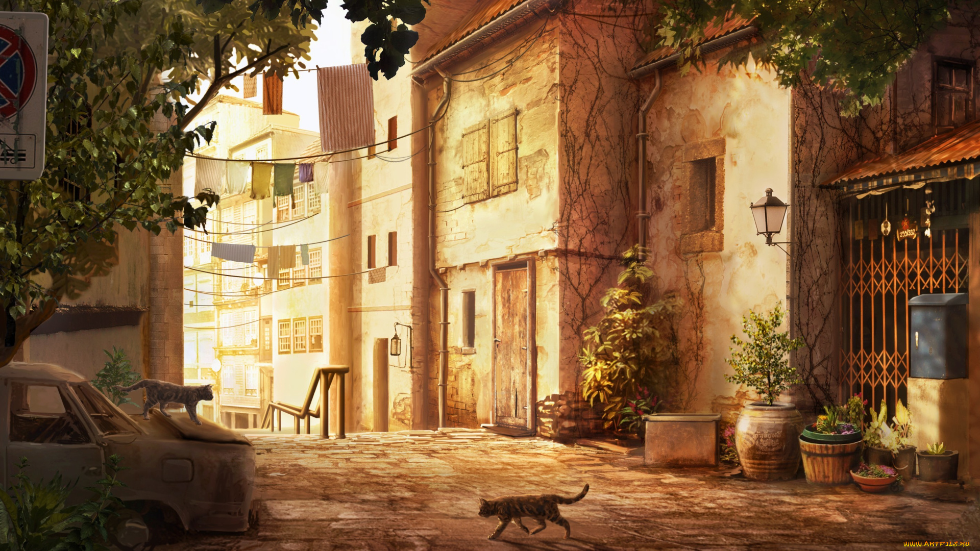 рисованные, города, бельё, кашпо, растения, дома, остов, машина, кошки, улица, город