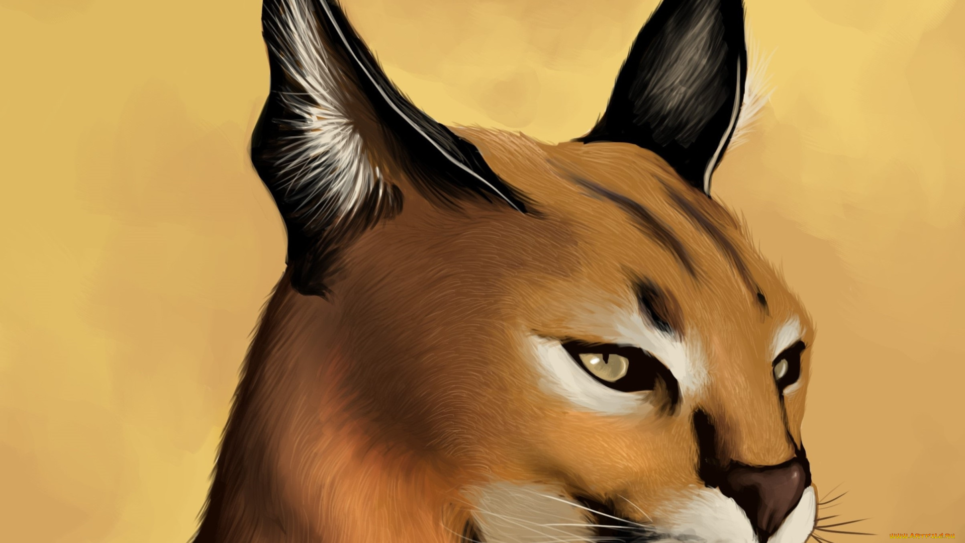 рисованные, животные, caracal