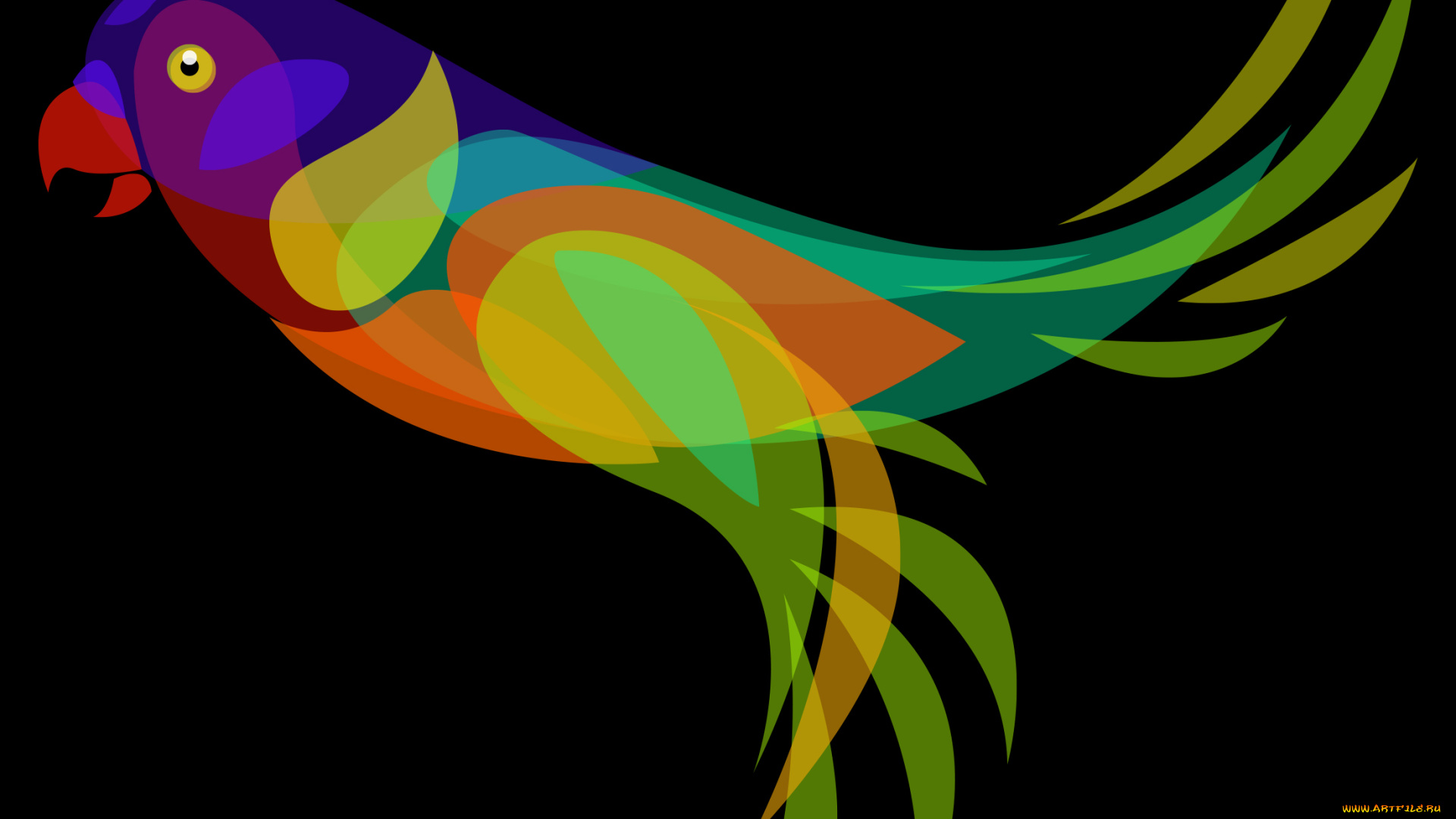 векторная, графика, птицы, фон, попугай