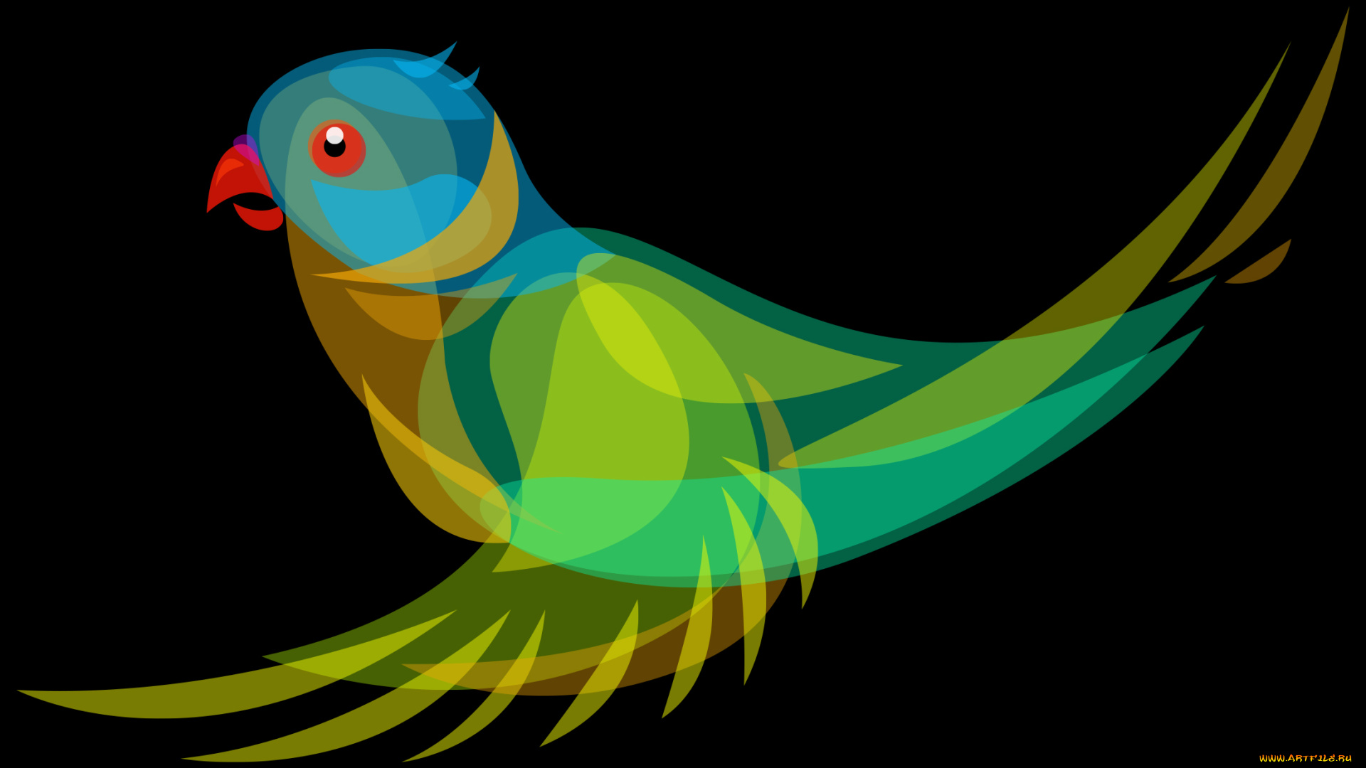 векторная, графика, птицы, попугай, фон