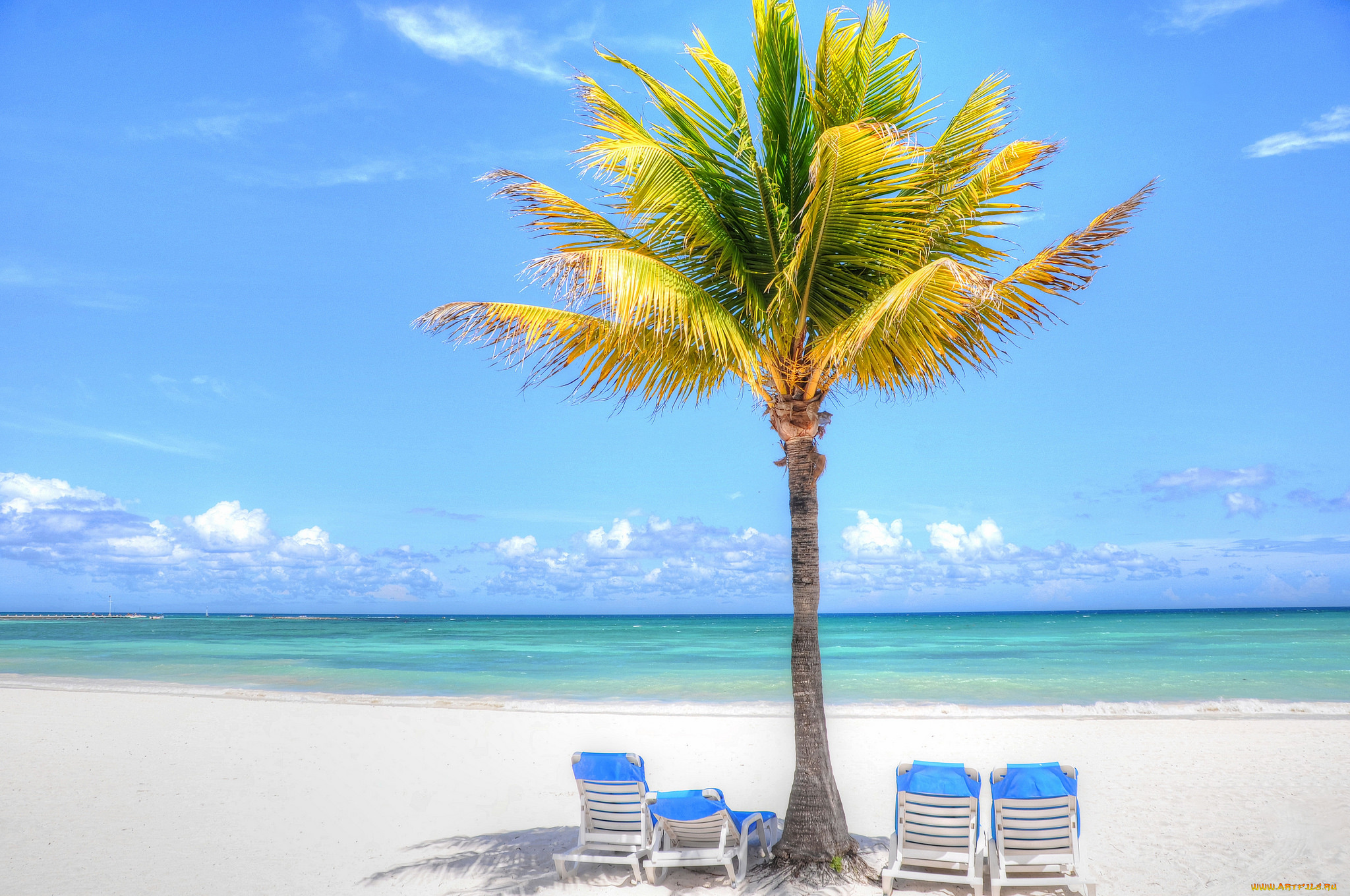 природа, тропики, отдых, море, пальма