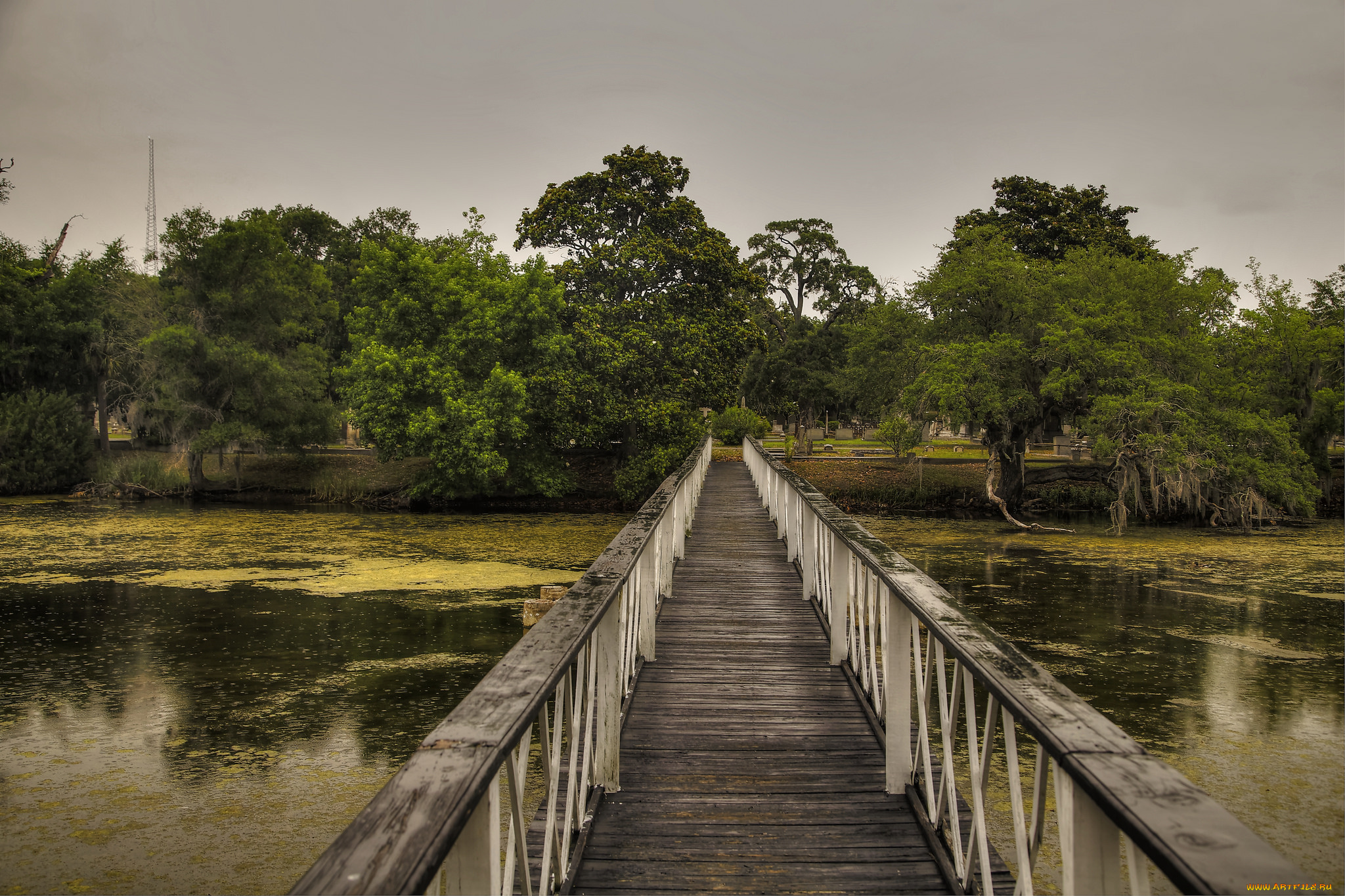 природа, дороги, деревья, мост, река