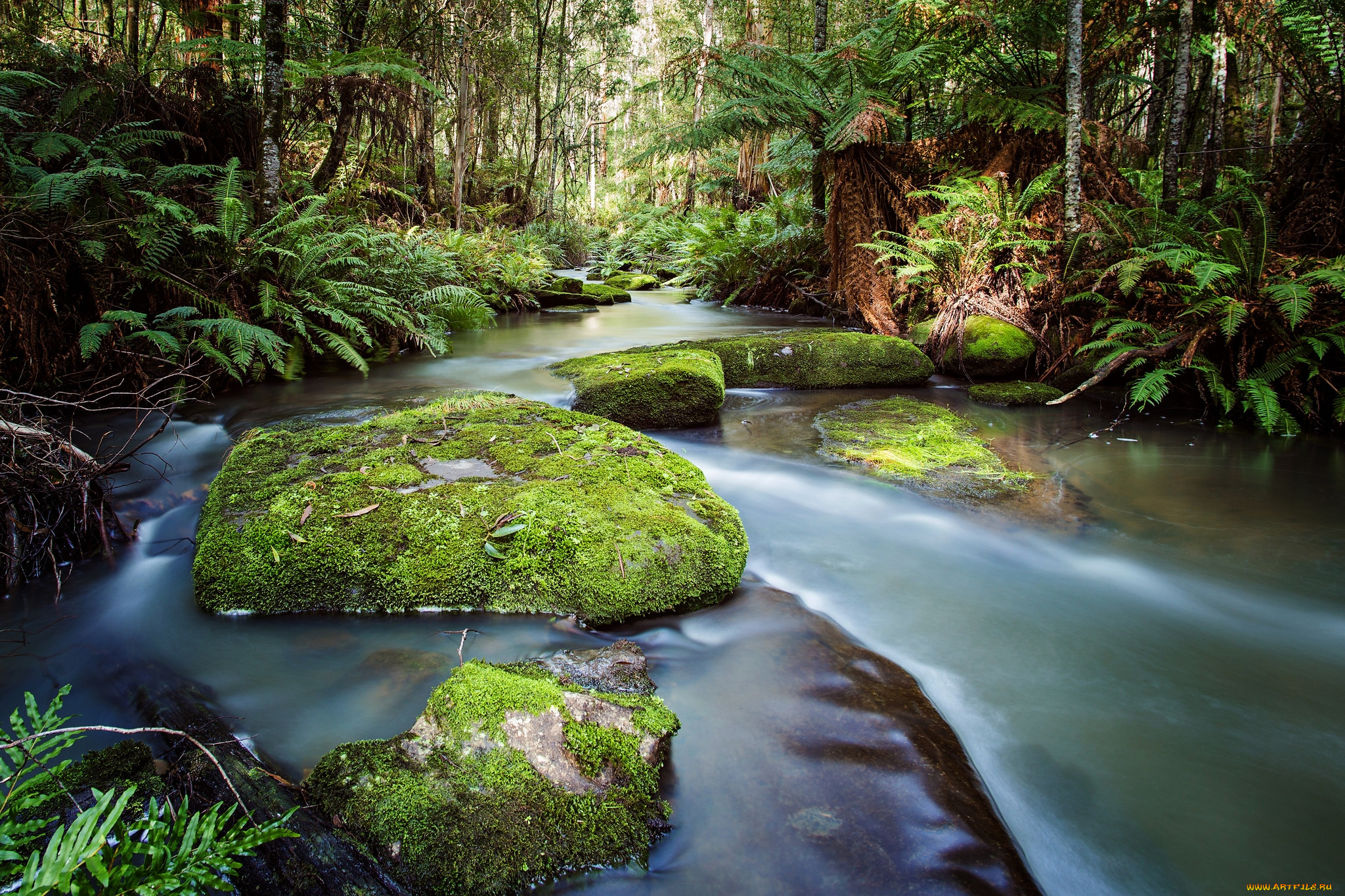 природа, реки, озера, лес
