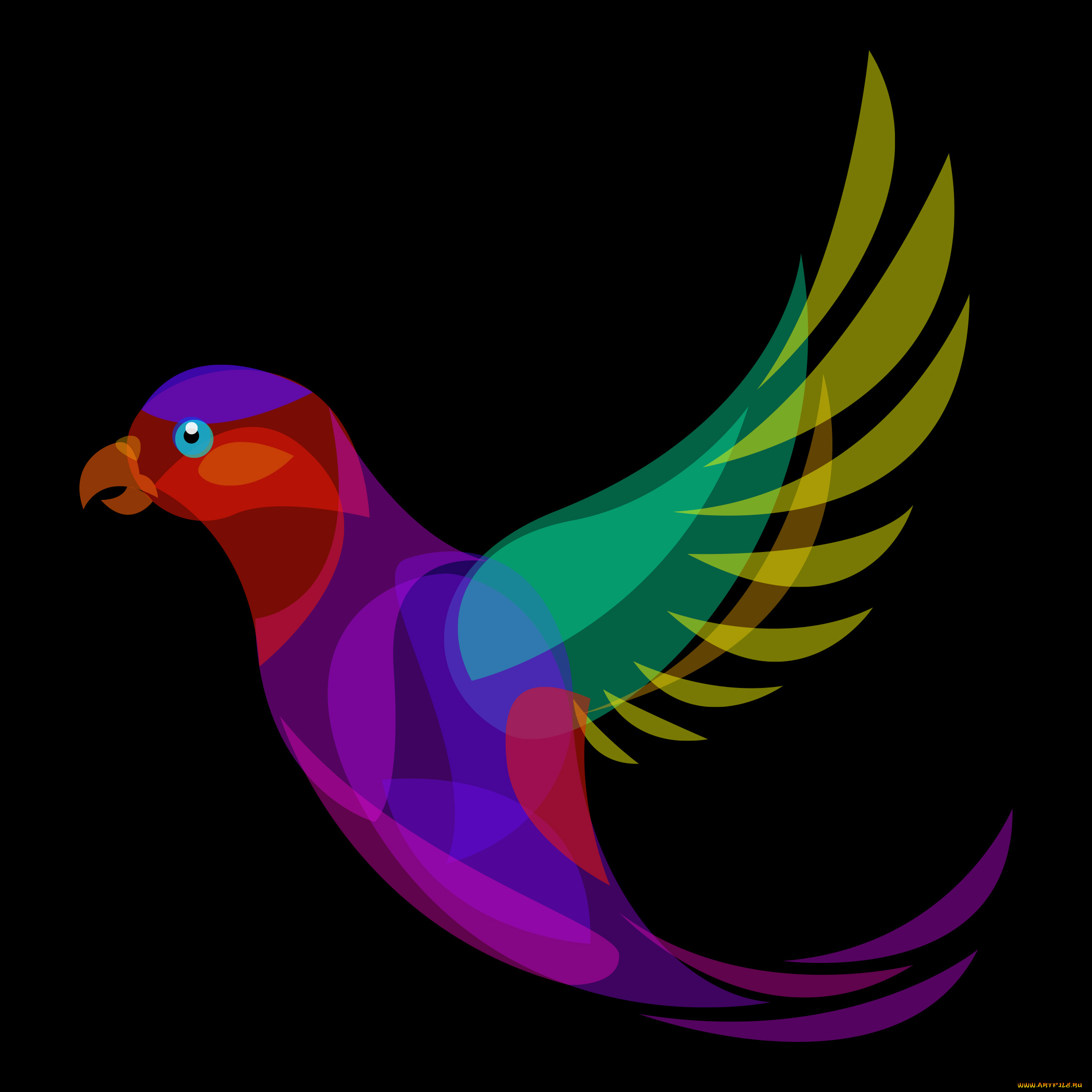 векторная, графика, птицы, фон, попугай