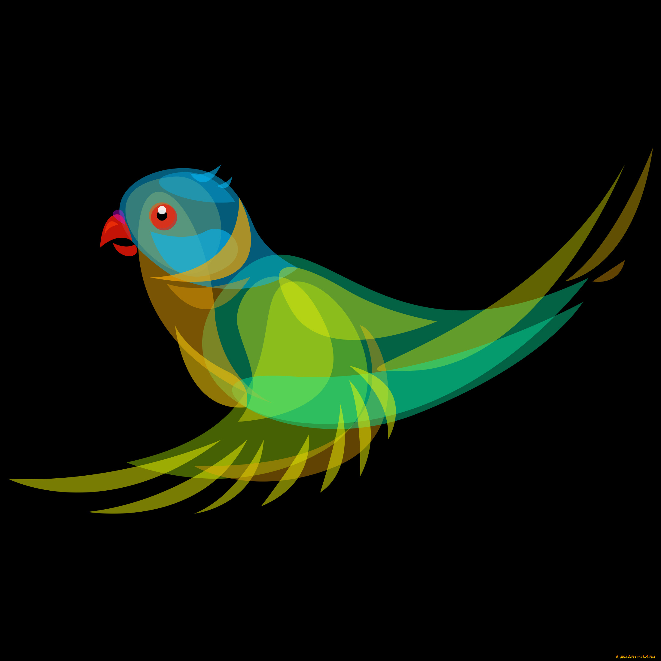 векторная, графика, птицы, попугай, фон