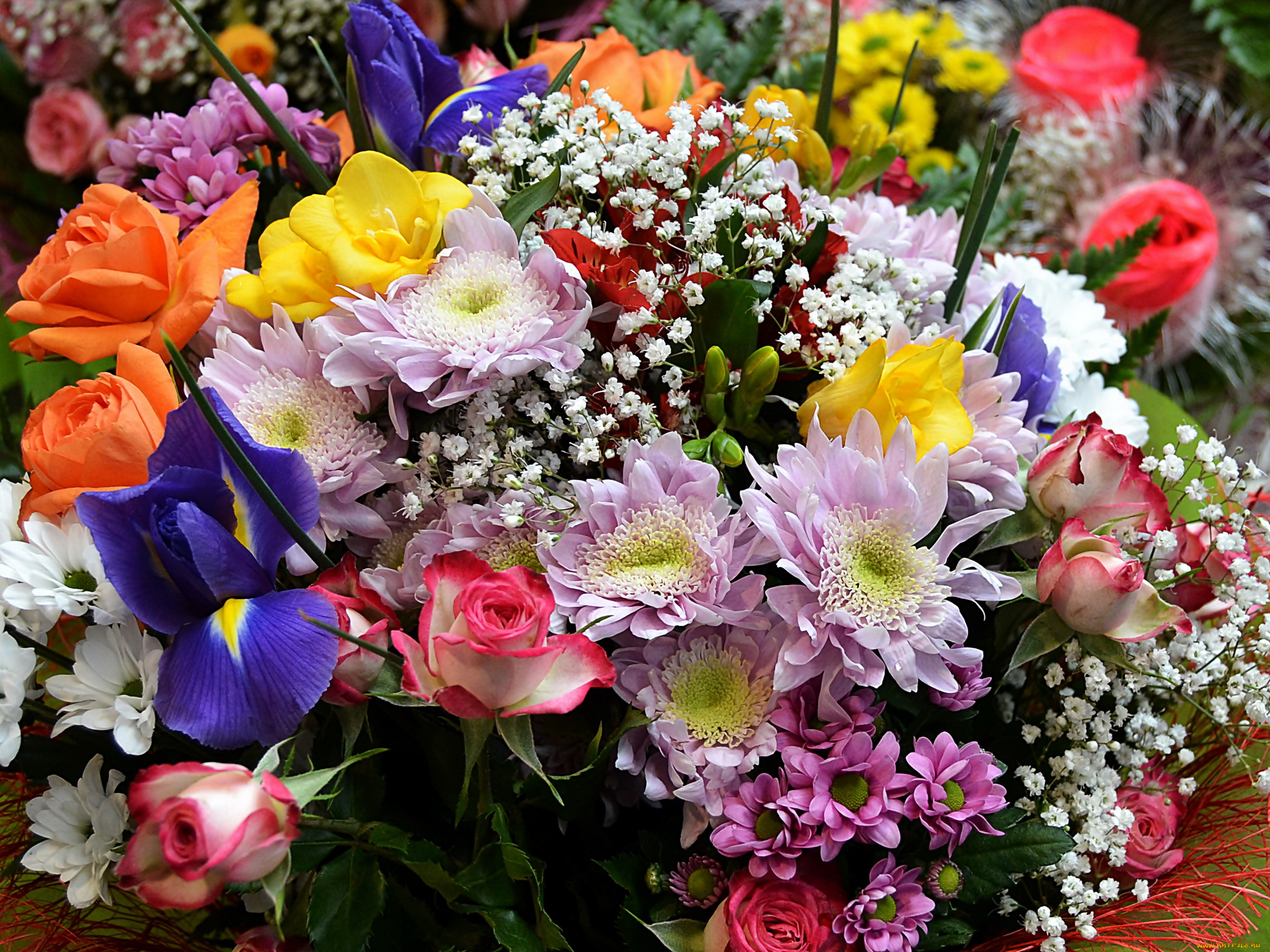 цветы, разные, вместе, ирисы, хризантемы, фрезии, розы